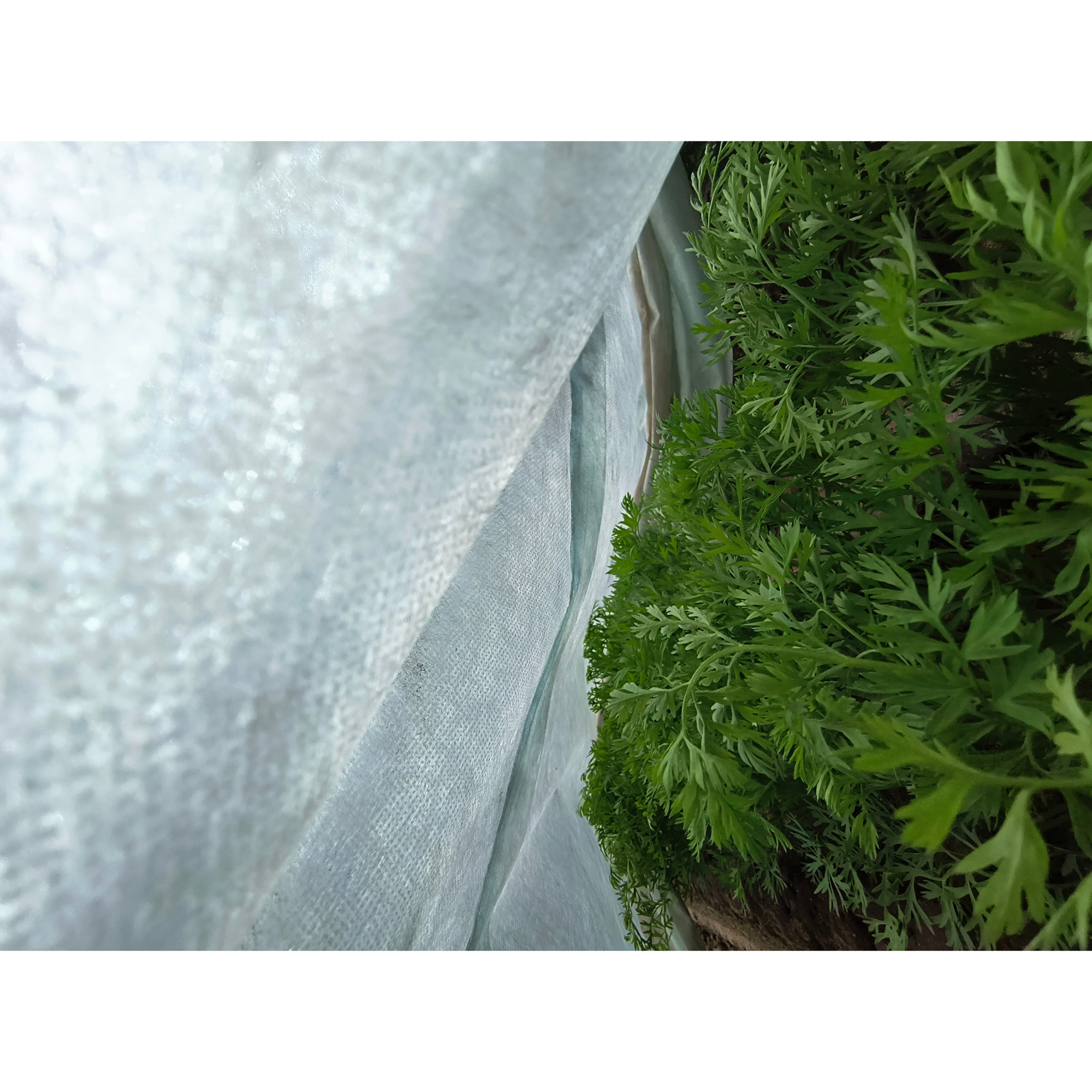 Fiberduk Jabo Agrimpex Hvit