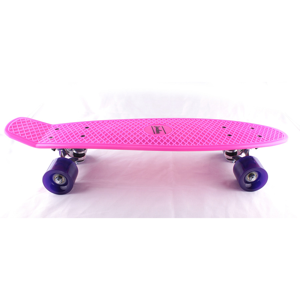 Skateboard Sandbar Cruiser