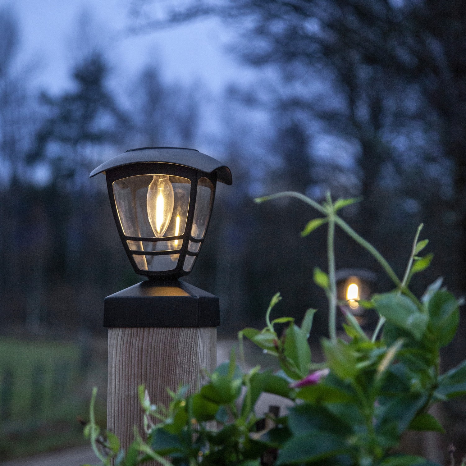 Solcelledekorasjon Star Trading Felix Sort LED Solcellelampe med Sensor