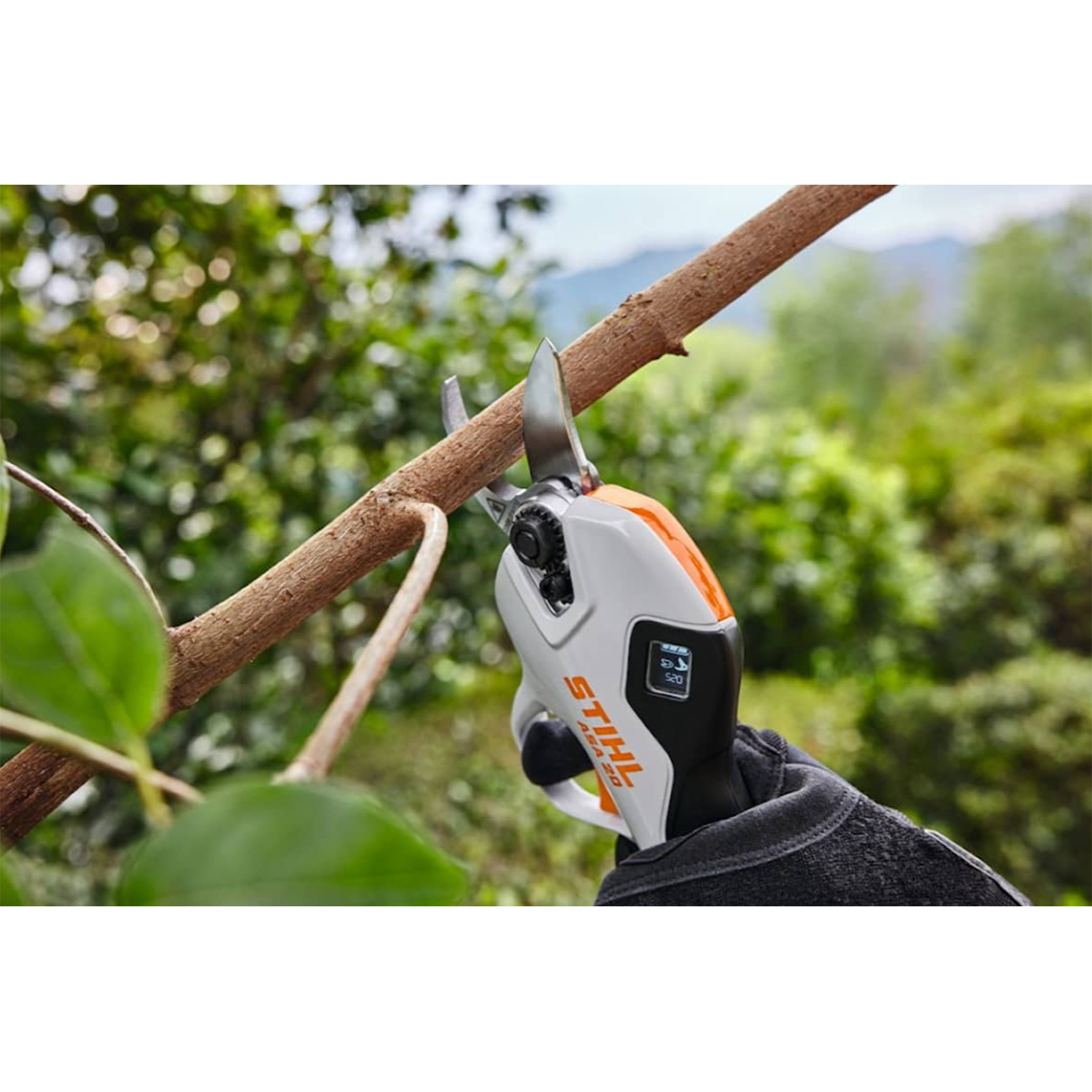 Batteridrevet Sekatør STIHL ASA 20 Med Batteri & Lader