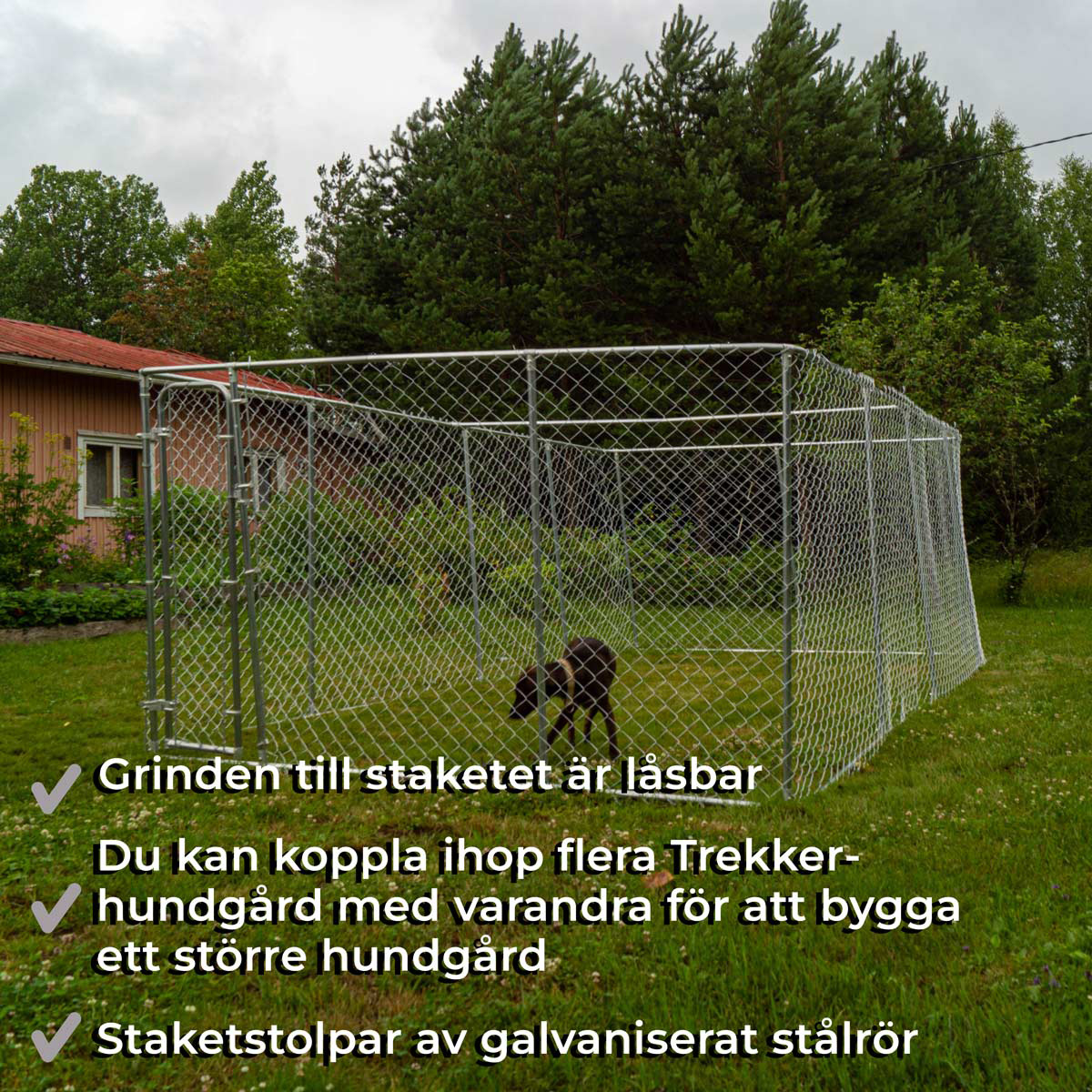 Hundegård Trekker
