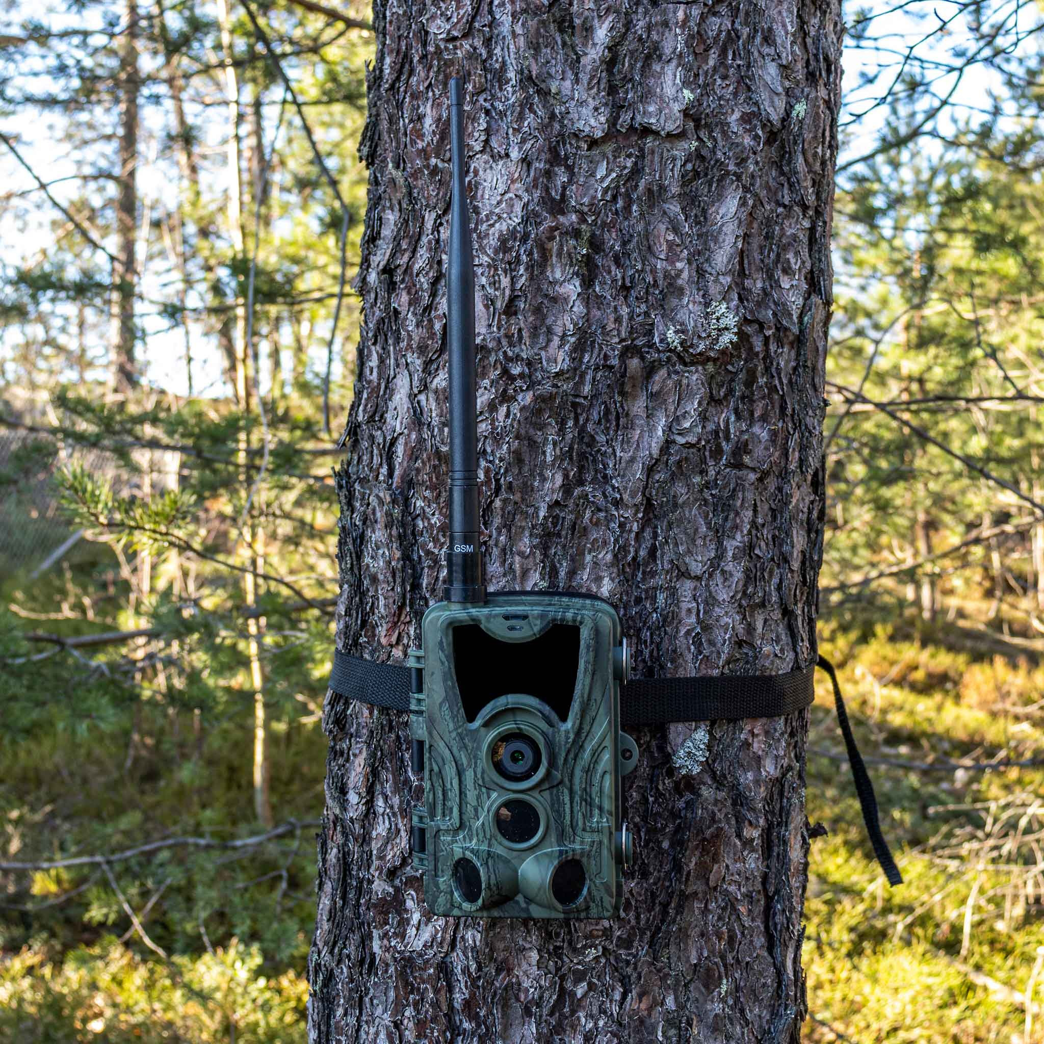 Viltkamera Trekker Premium Sendende 4G LTE