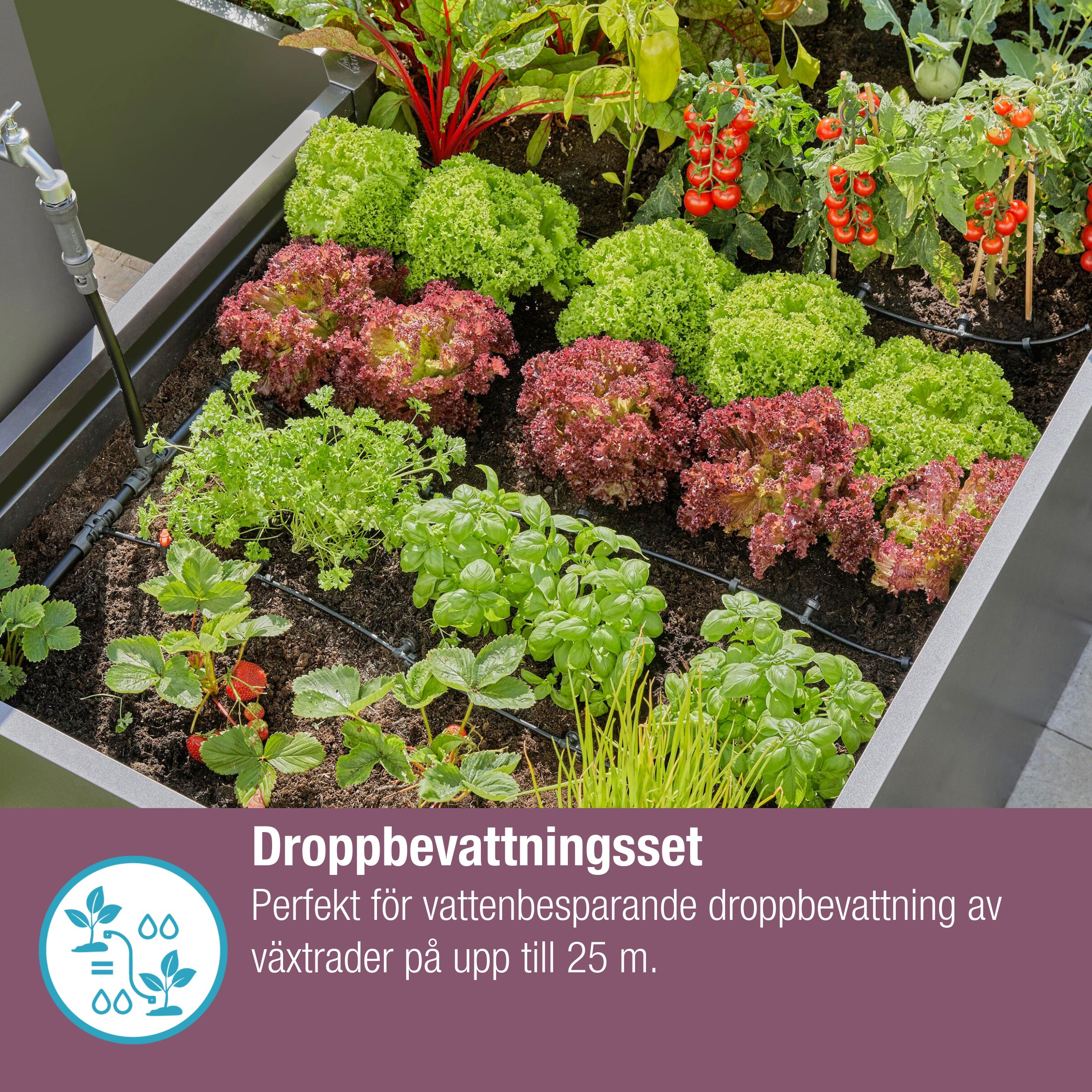 Dryppslange Gardena Micro-Drip Sett 25 m Over og Under Jord