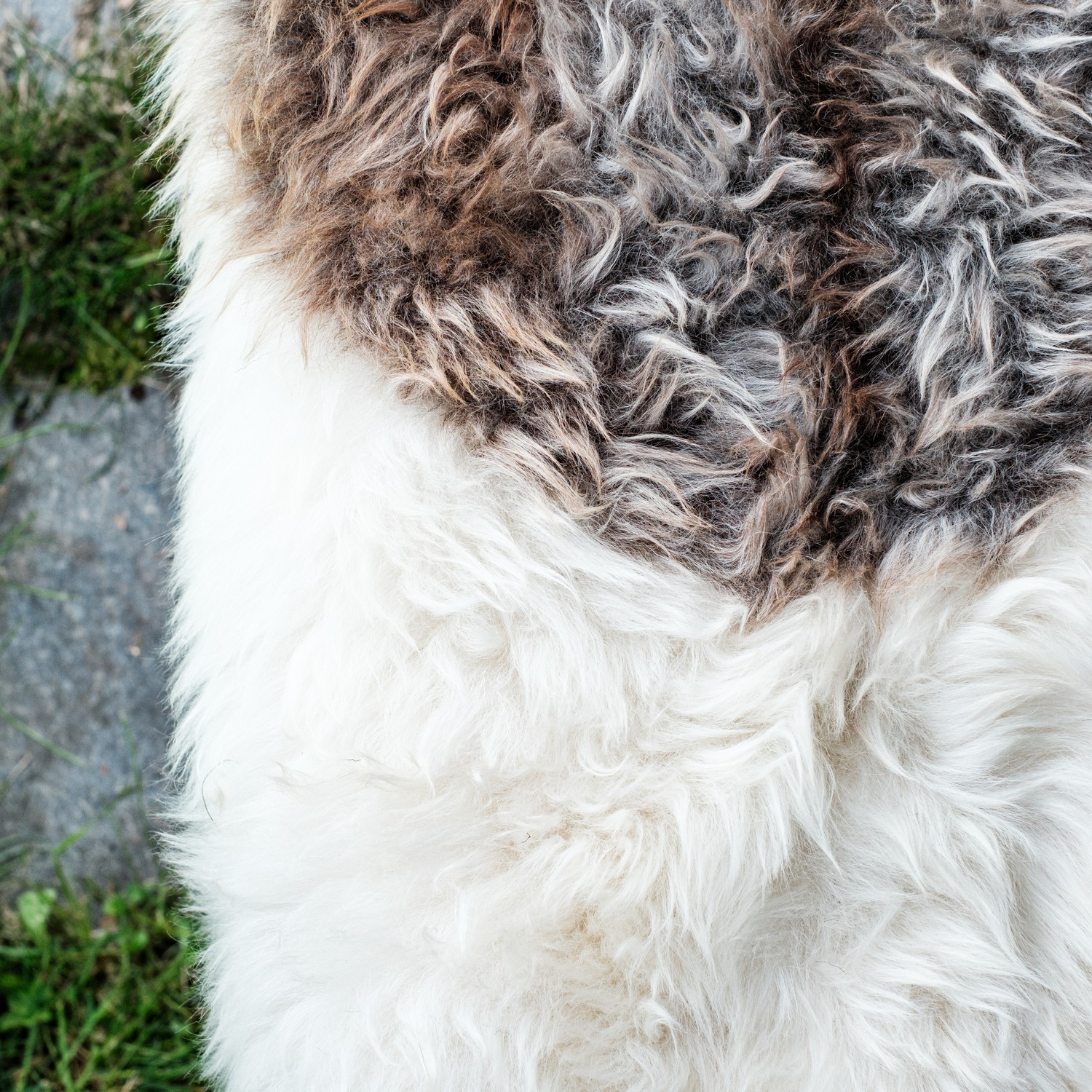 Lammeskinn Espegard Lang