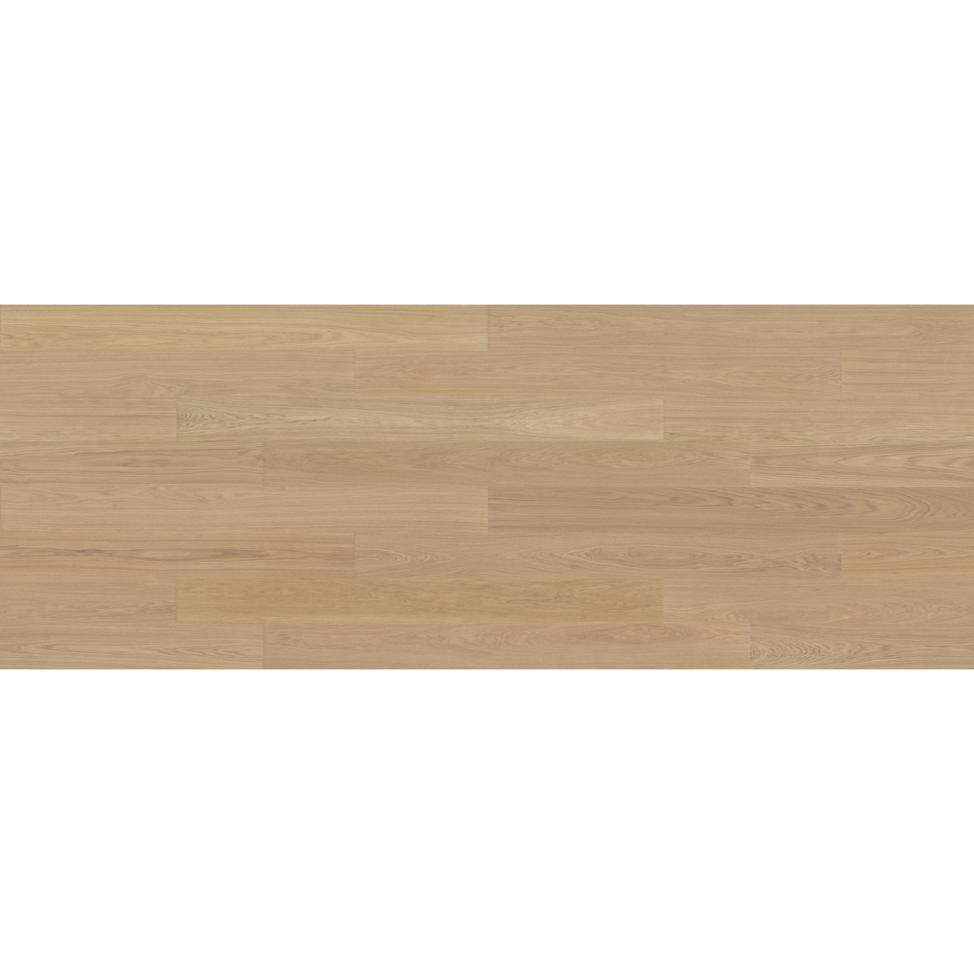 VEJBY 3.0 XXL