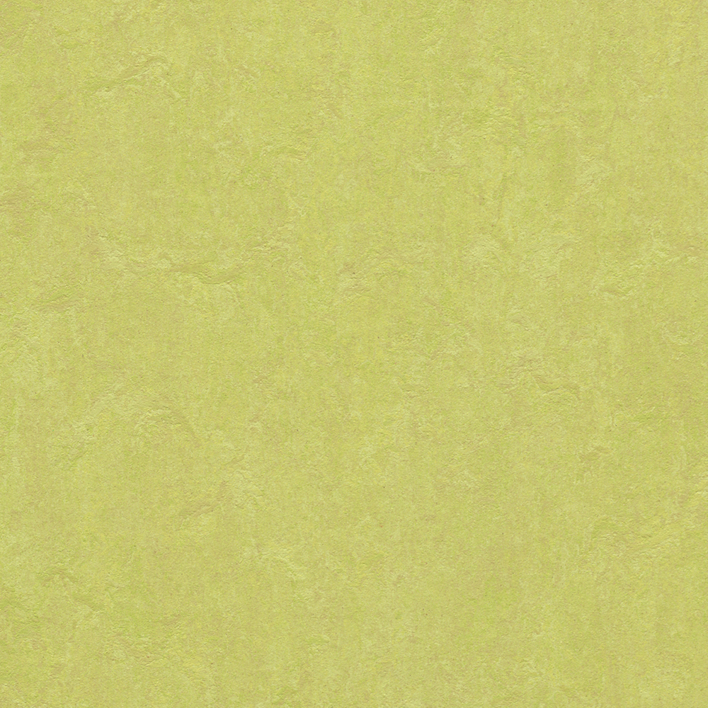 Linoleumgolv Forbo Marmoleum Click Spring Buds 30x30 cm