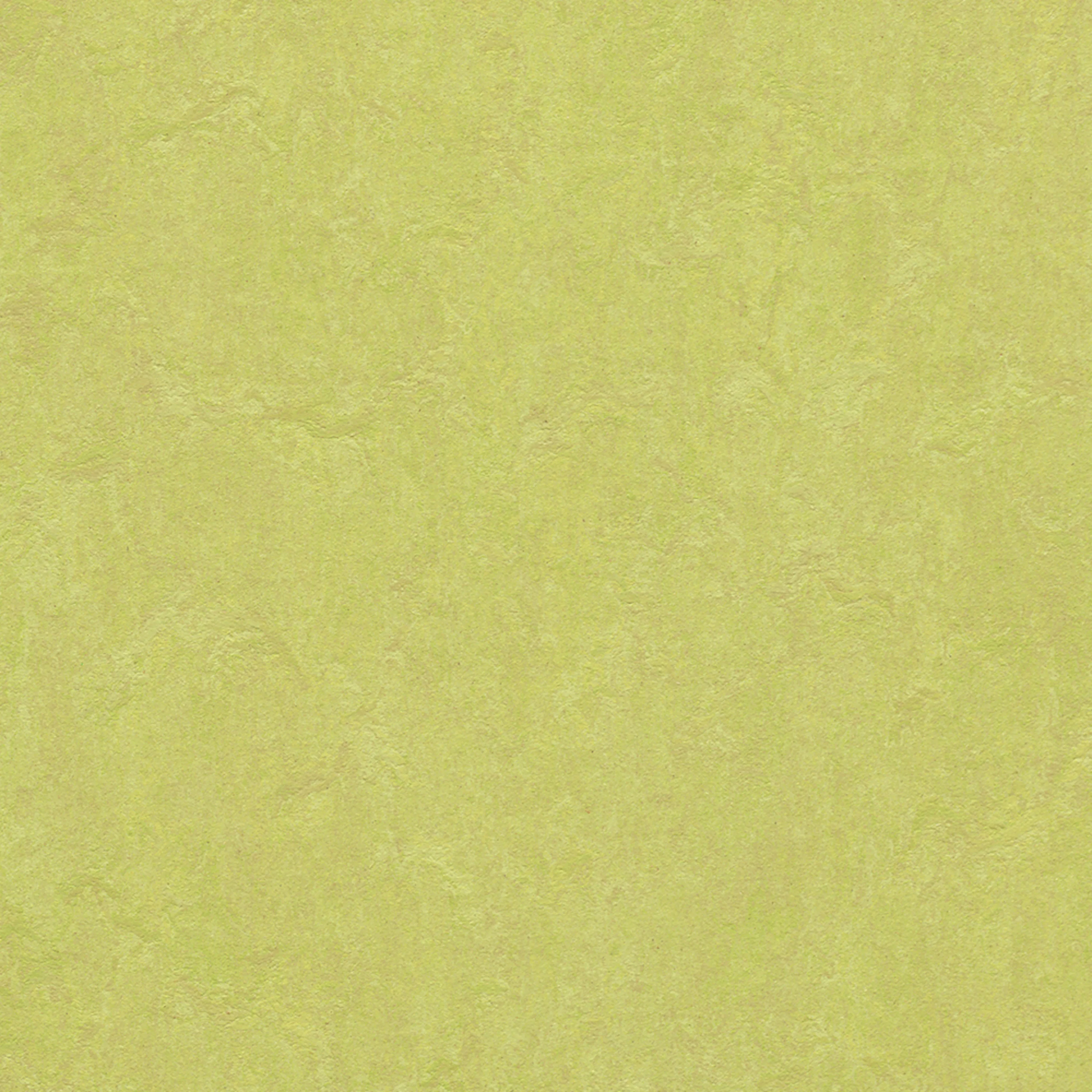 Linoleumsgulv Forbo Marmoleum Click Spring Buds 30x30 cm