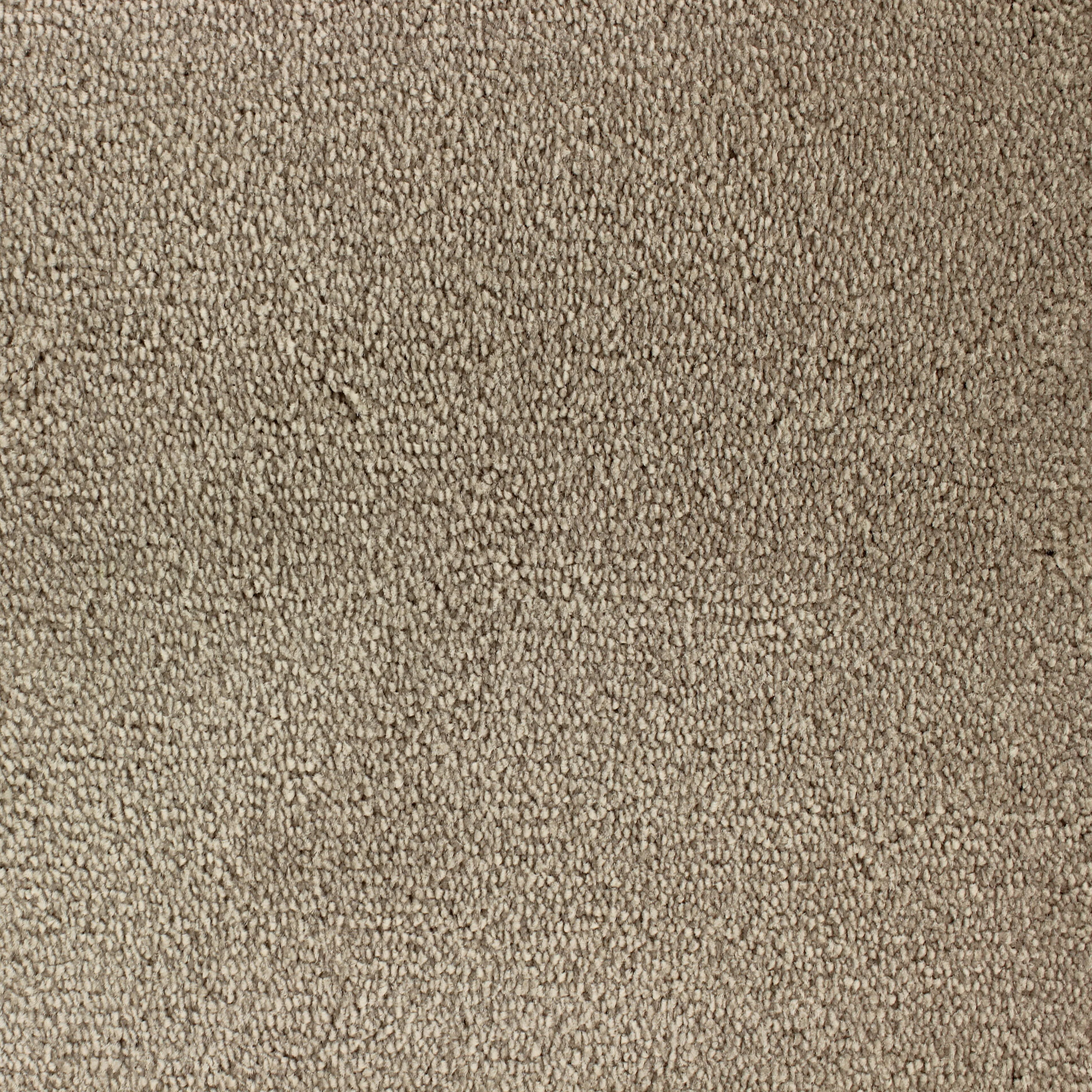 Beige/Grå