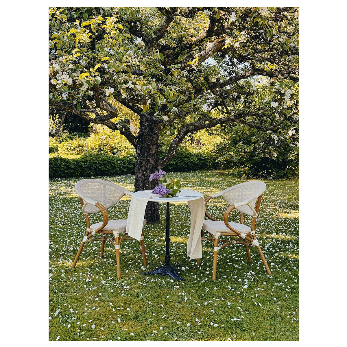 ÄPPELHED CAFÉSTOL Beige