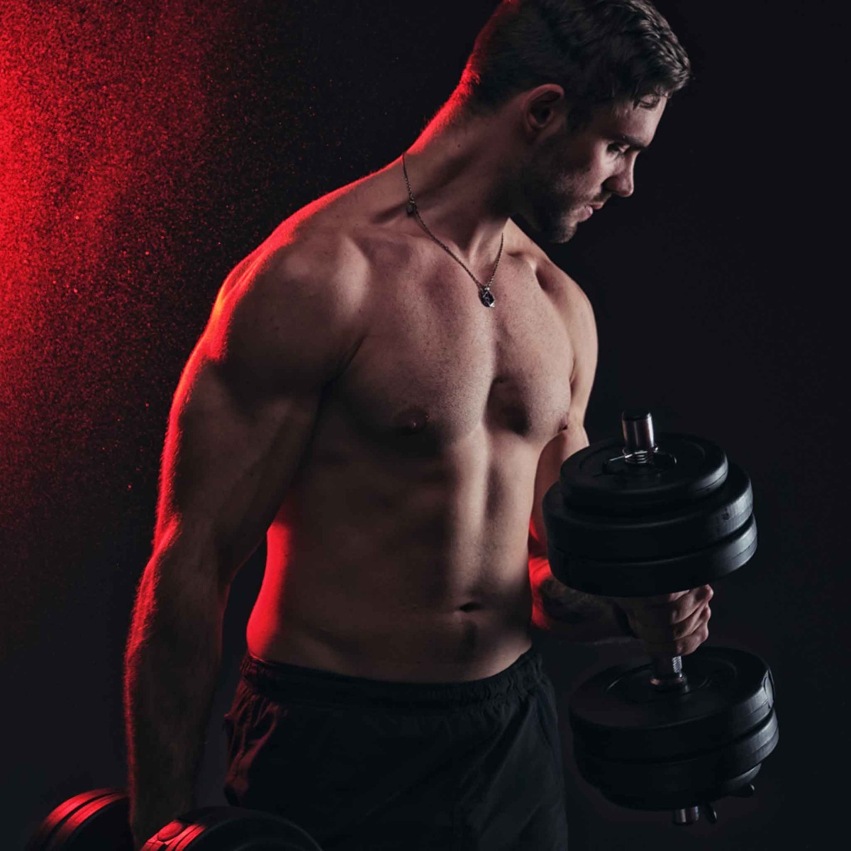 Manualer Fitn Shape 2 stk 30 kg Justerbar