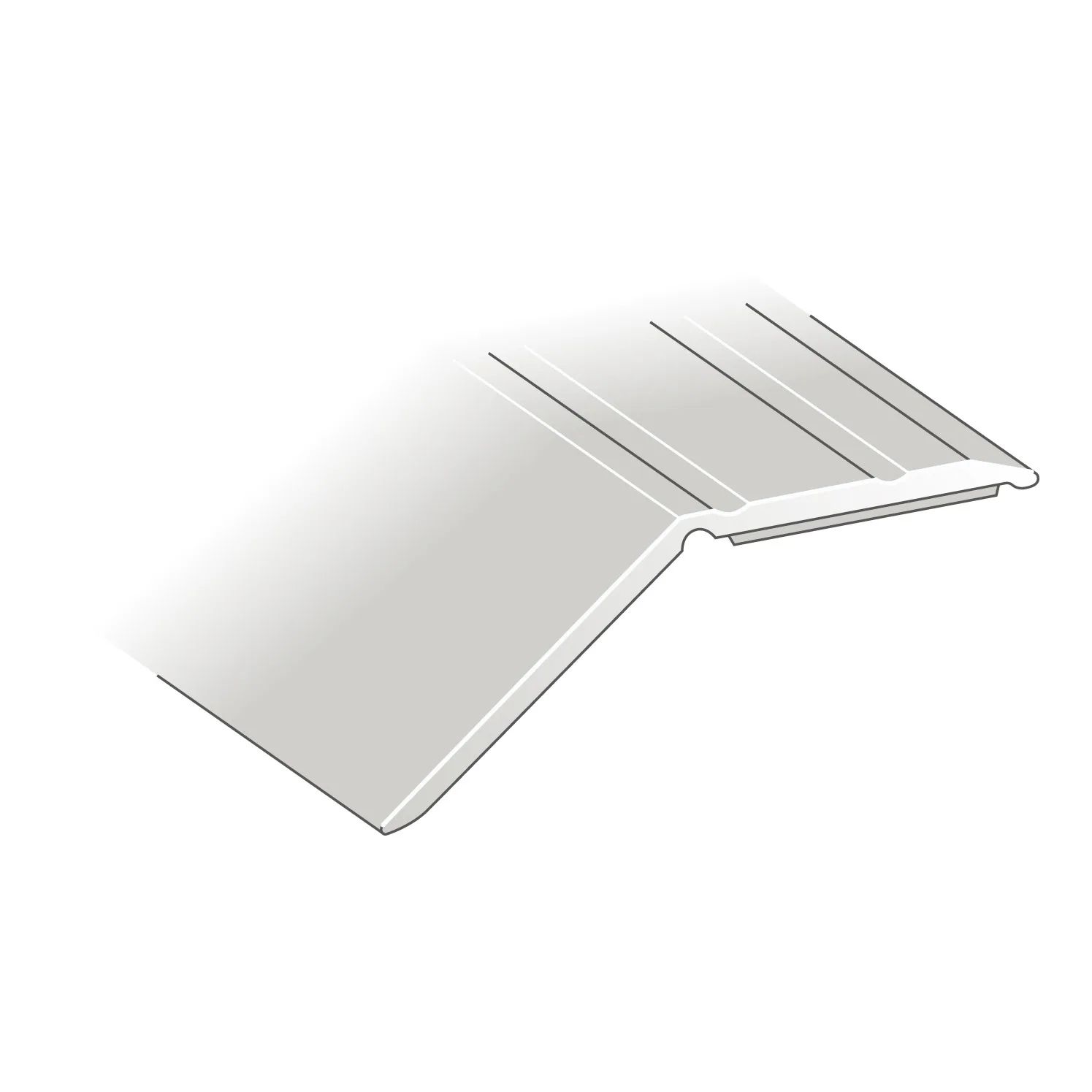 Nivålist Lundbergs Fix Sølv