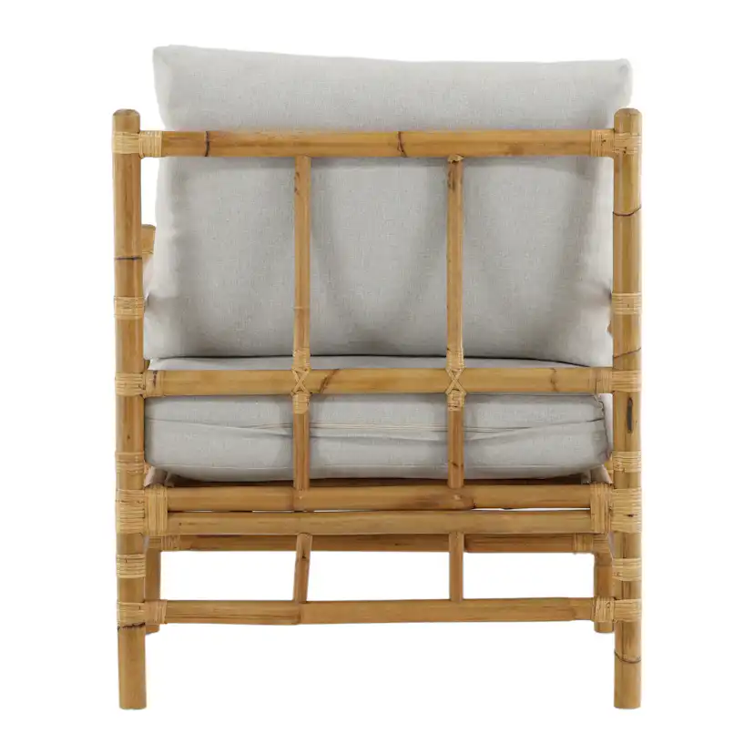 Lenestol Venture Home Cane