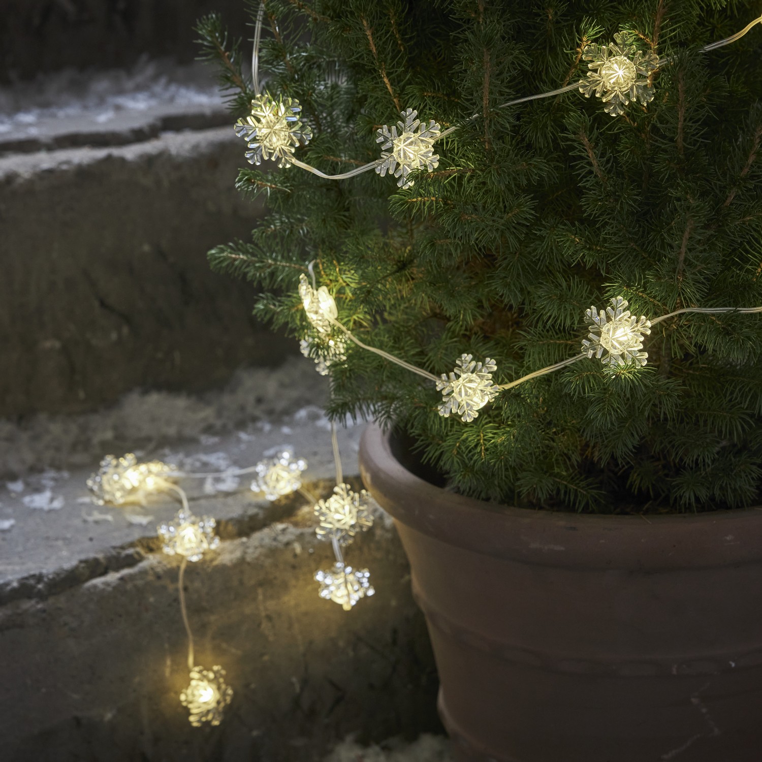 Lyslenke Star Trading Snowstar