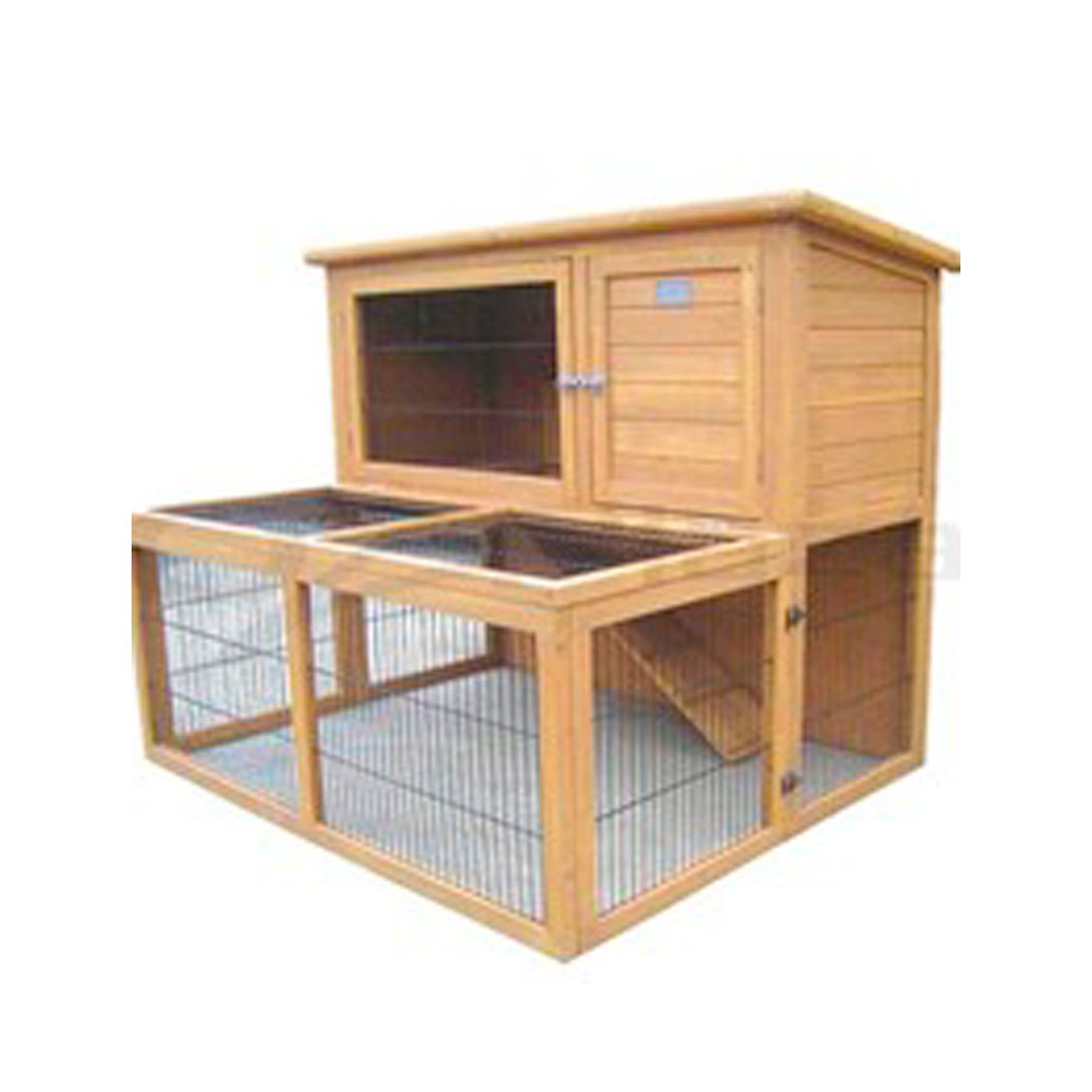 Kaninbur i Tre, Daisy