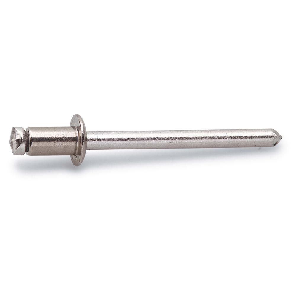 Blindnagle FAST RFR 25 ST