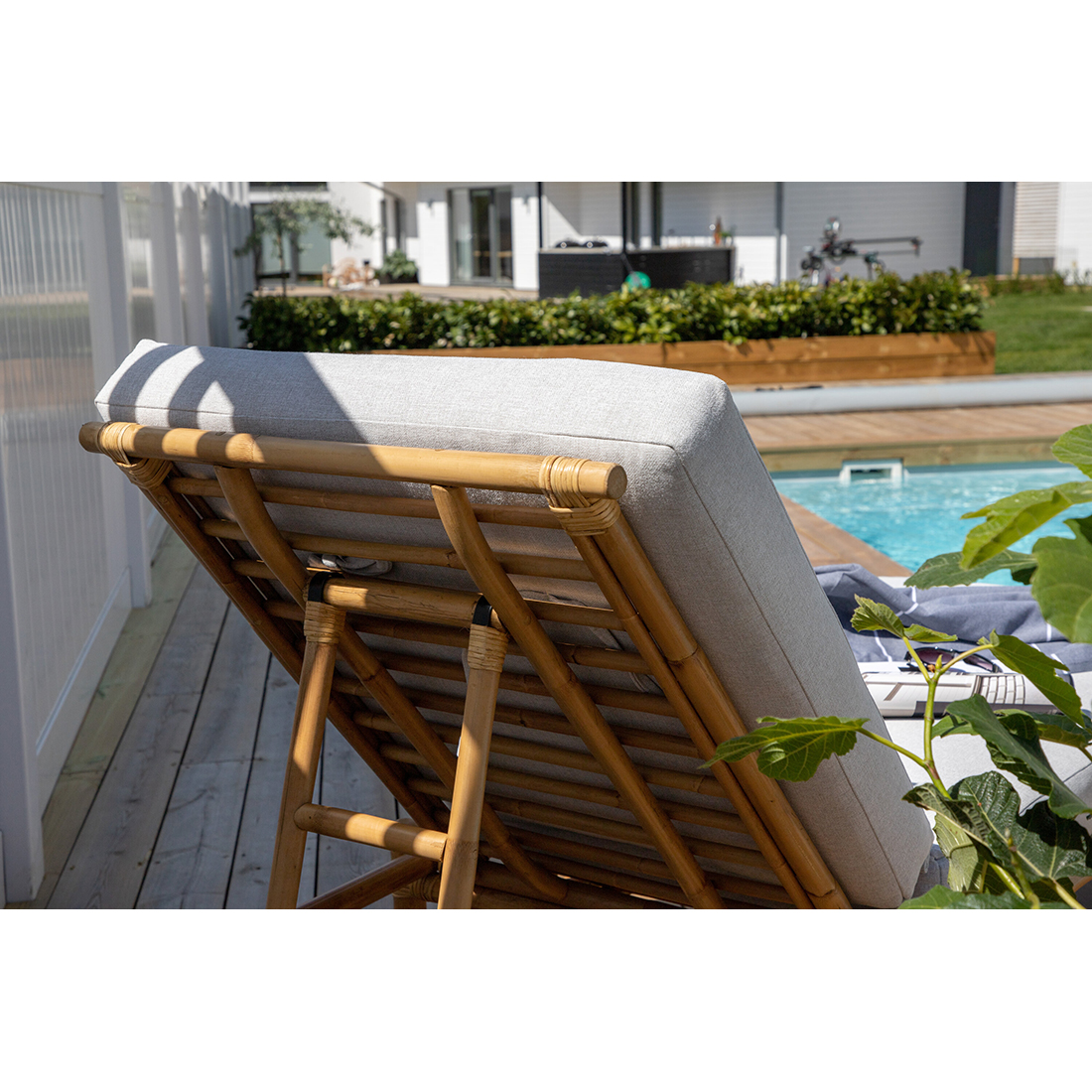 Solseng Venture Home Cane