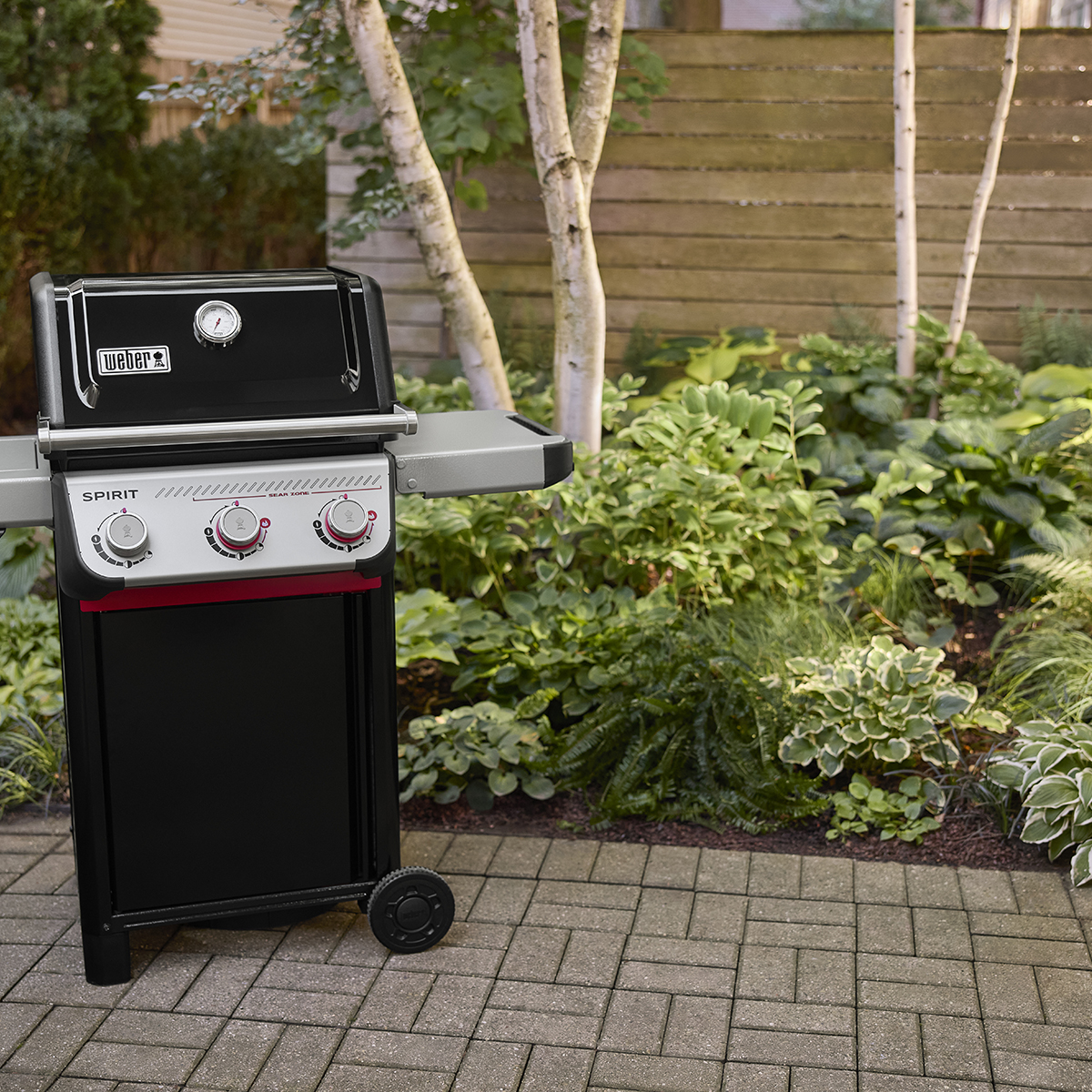 Gassgrill Weber Spirit E-335