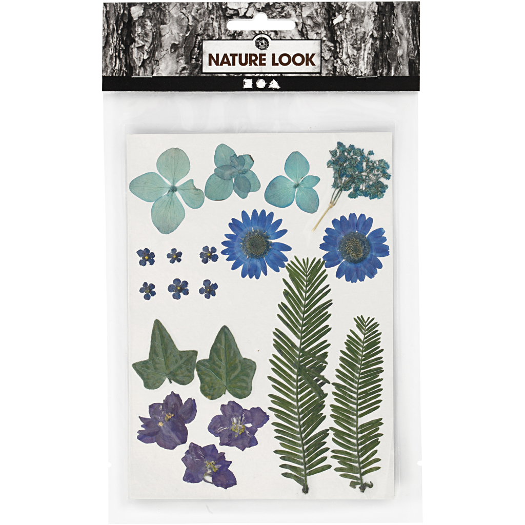 Tørkede Creativ Company Blomster og Blader Blå 19 Mix/1 Pk