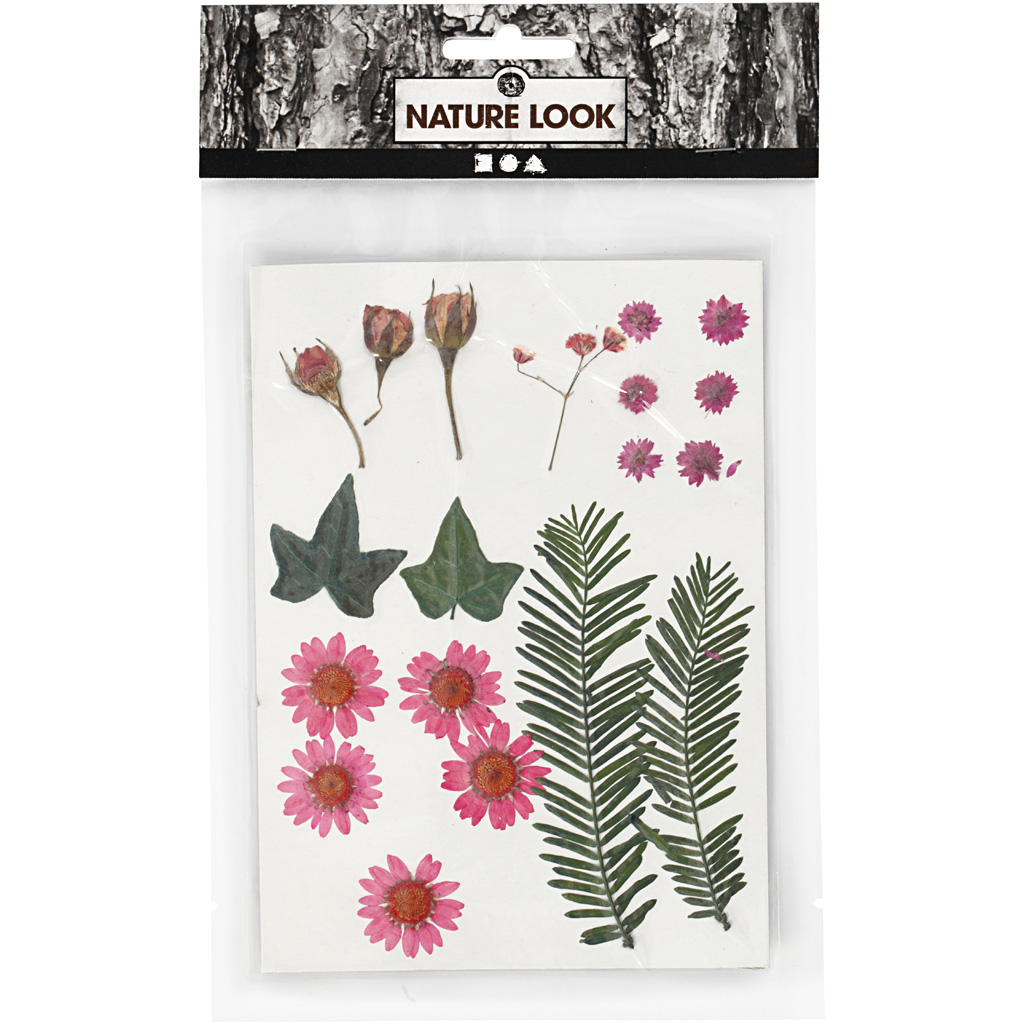 Tørkede Creativ Company Blomster og Blader Lysrød 19 Mix/1 Pk