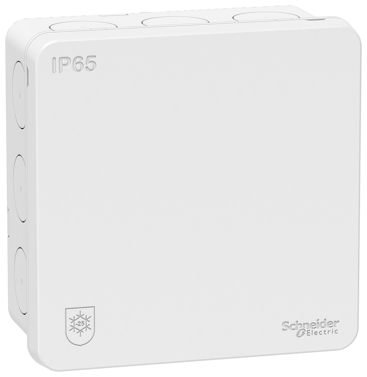 Tilkoblingsboks Schneider Electric Mureva IP65