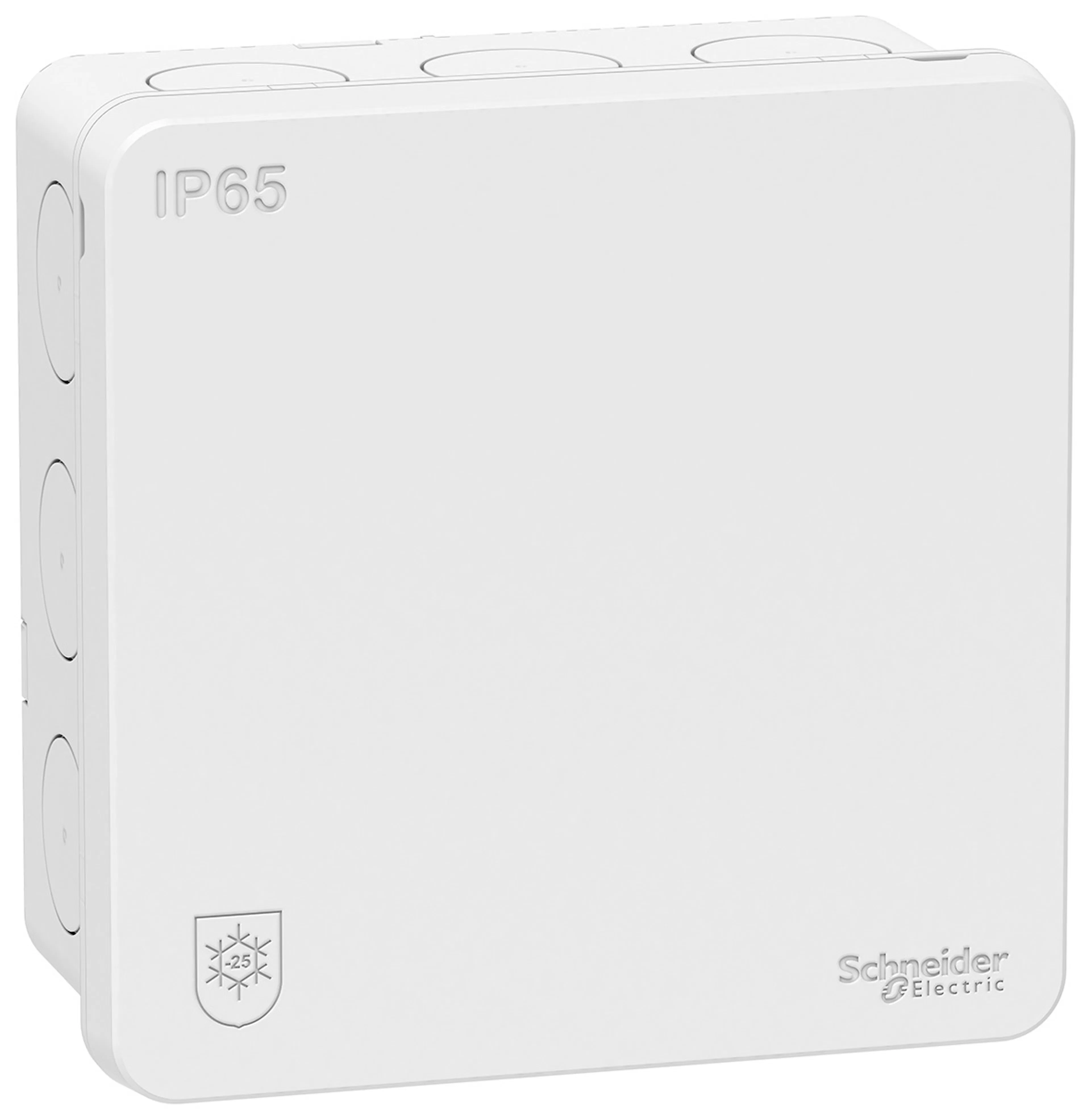 Tilkoblingsboks Schneider Electric Mureva IP65