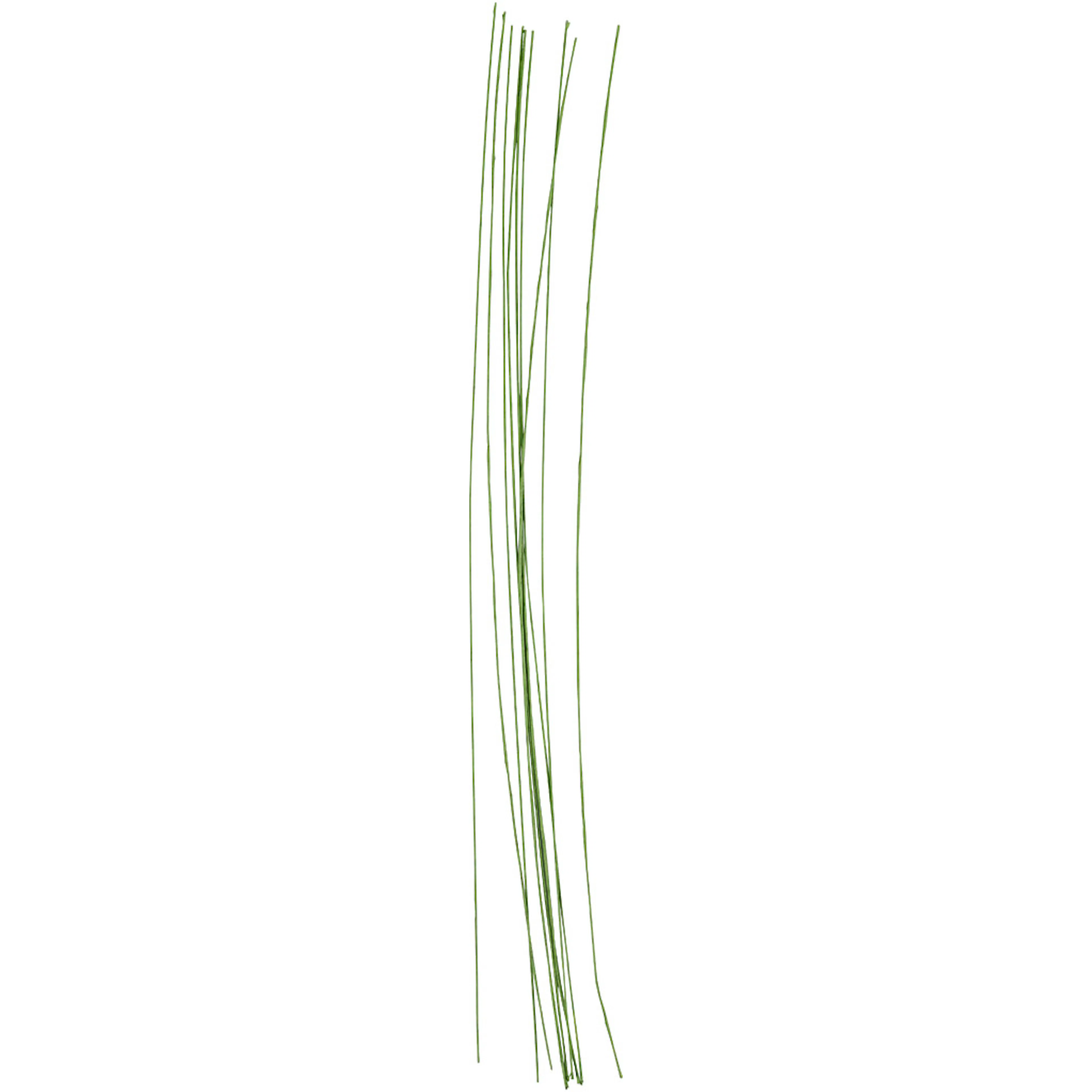 Blomstertråd Creativ Company Grønn 30 cm