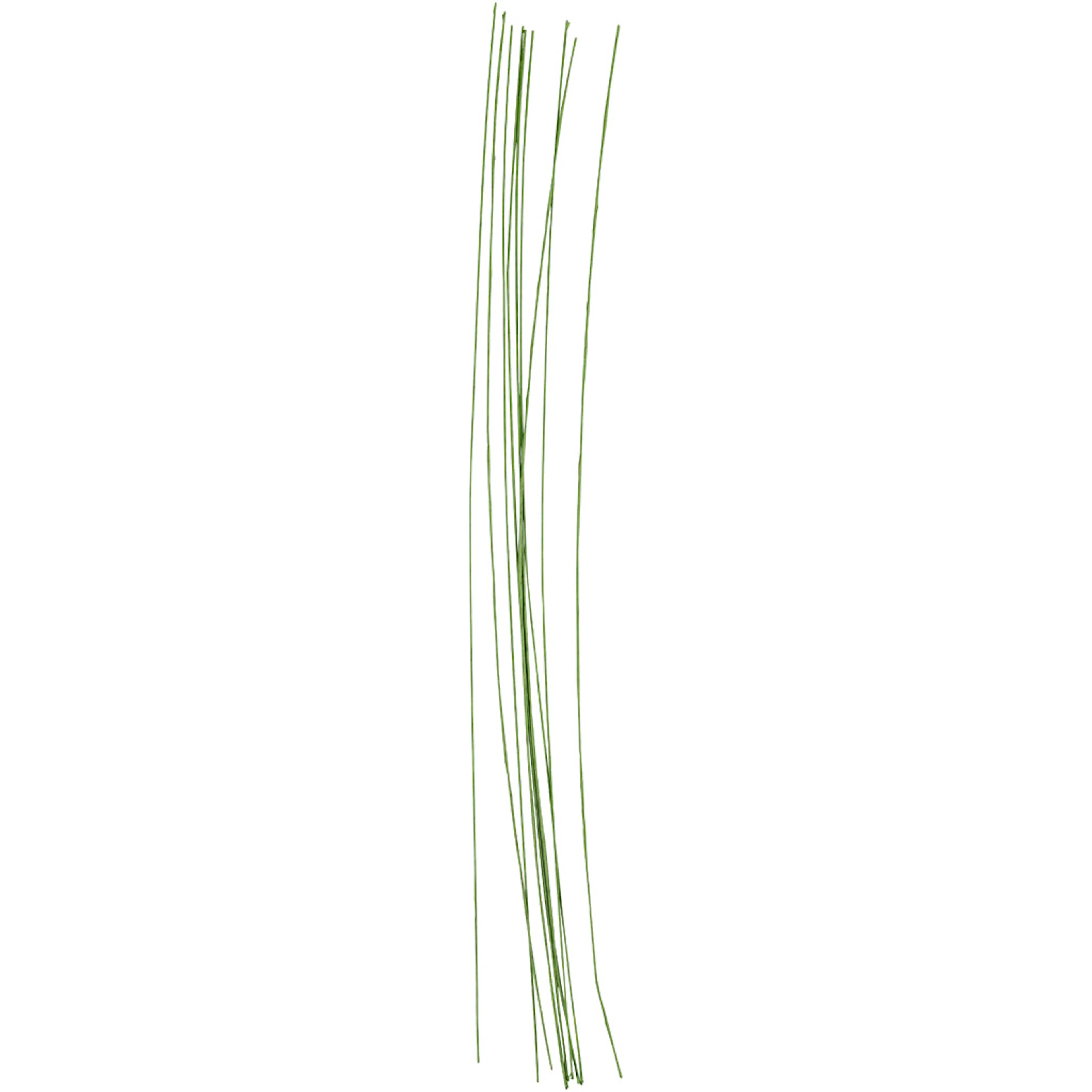 Blomstertråd Creativ Company Grønn 30 cm