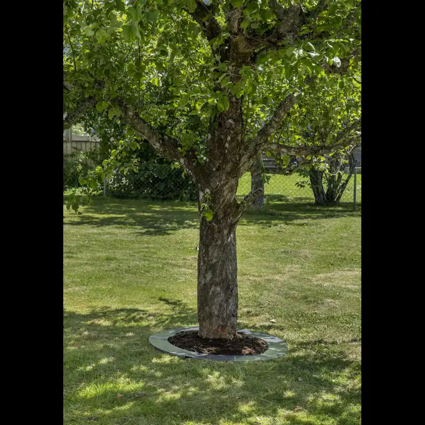 Rabattkant Skotte Garden Unik Rund 2-pk