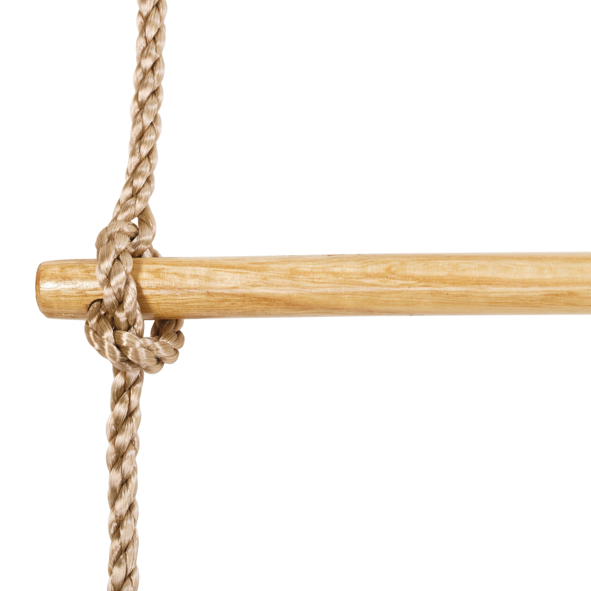 Taustige Palmako 5 Trinn