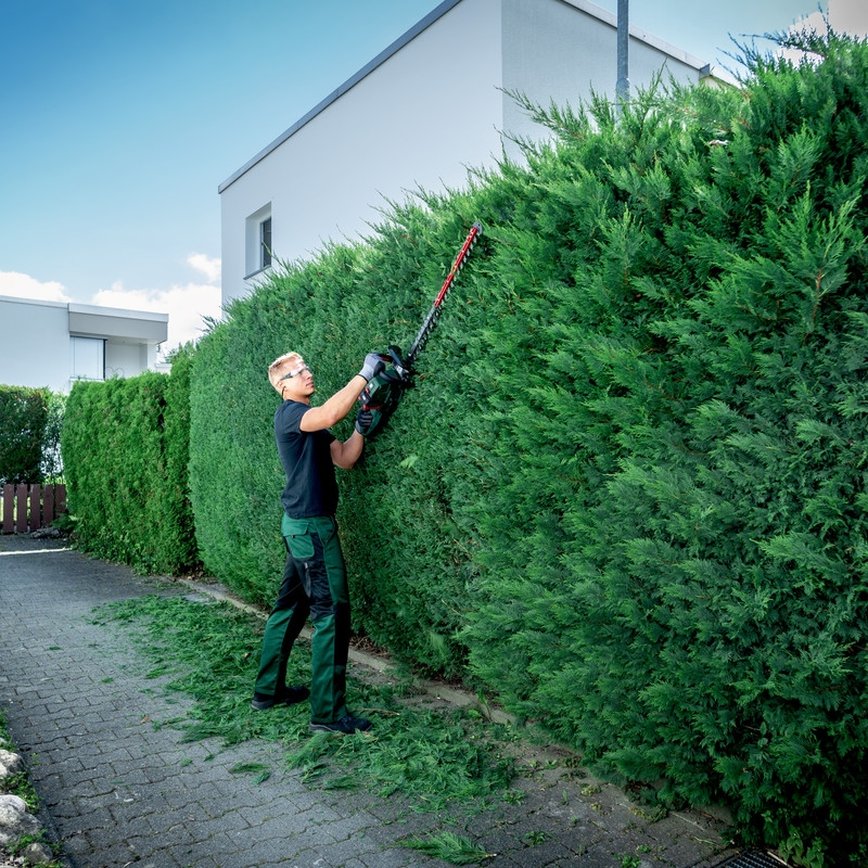 Hekksaks Metabo HS 18 LTX BL 55 CB uten Batteri og Lader