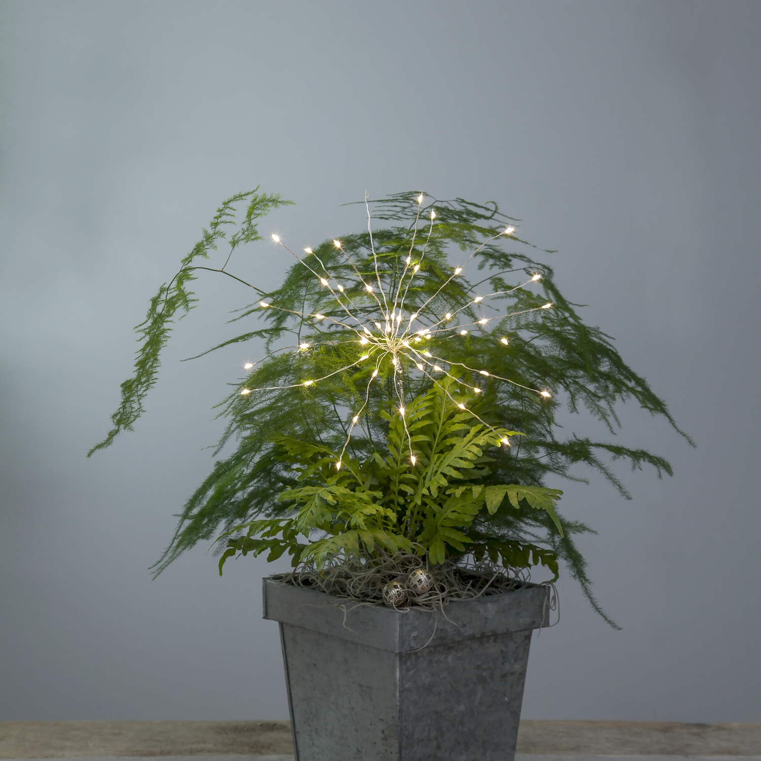 Lystre Star Trading Firework