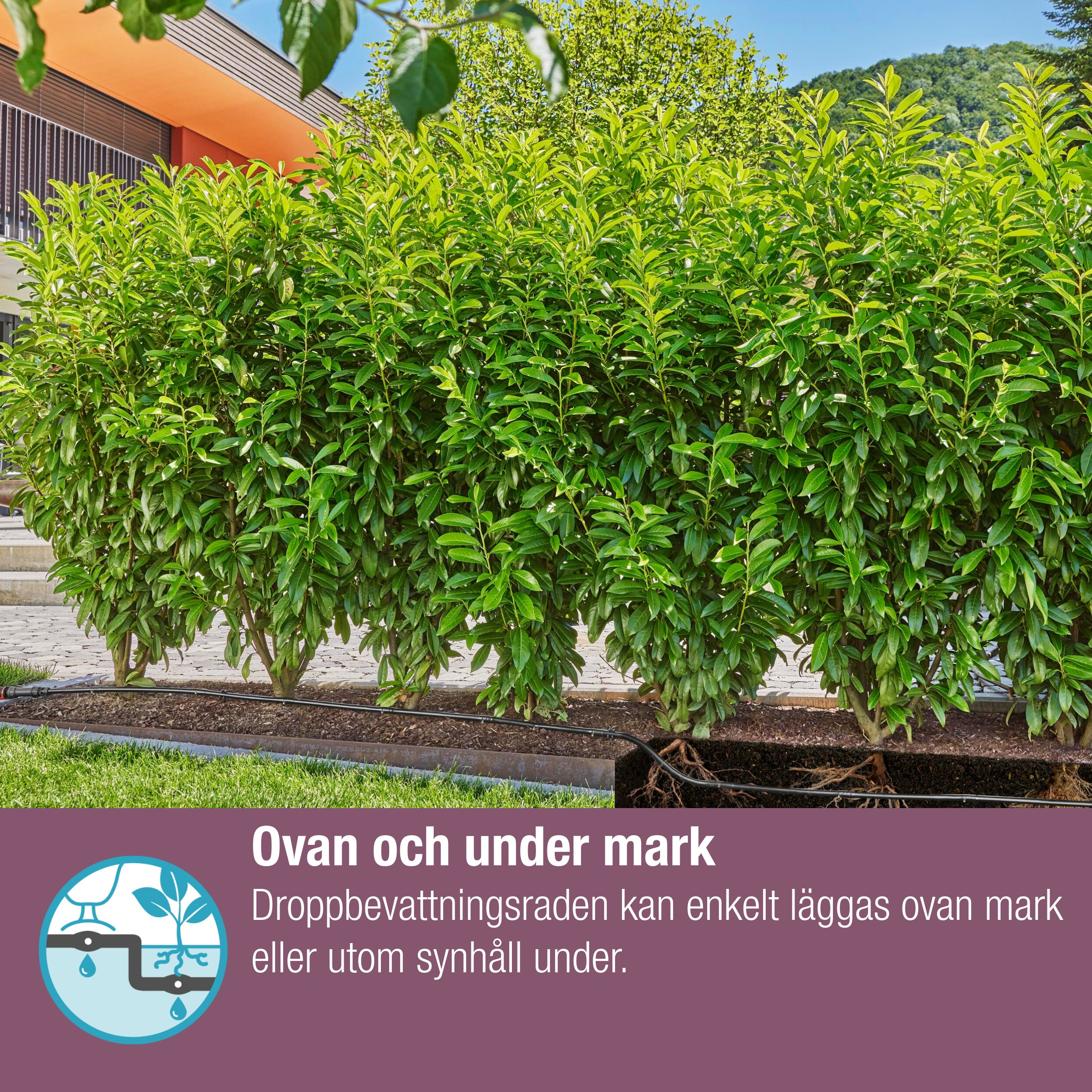 Dryppslange Gardena Micro-Drip Sett 25 m Over og Under Jord