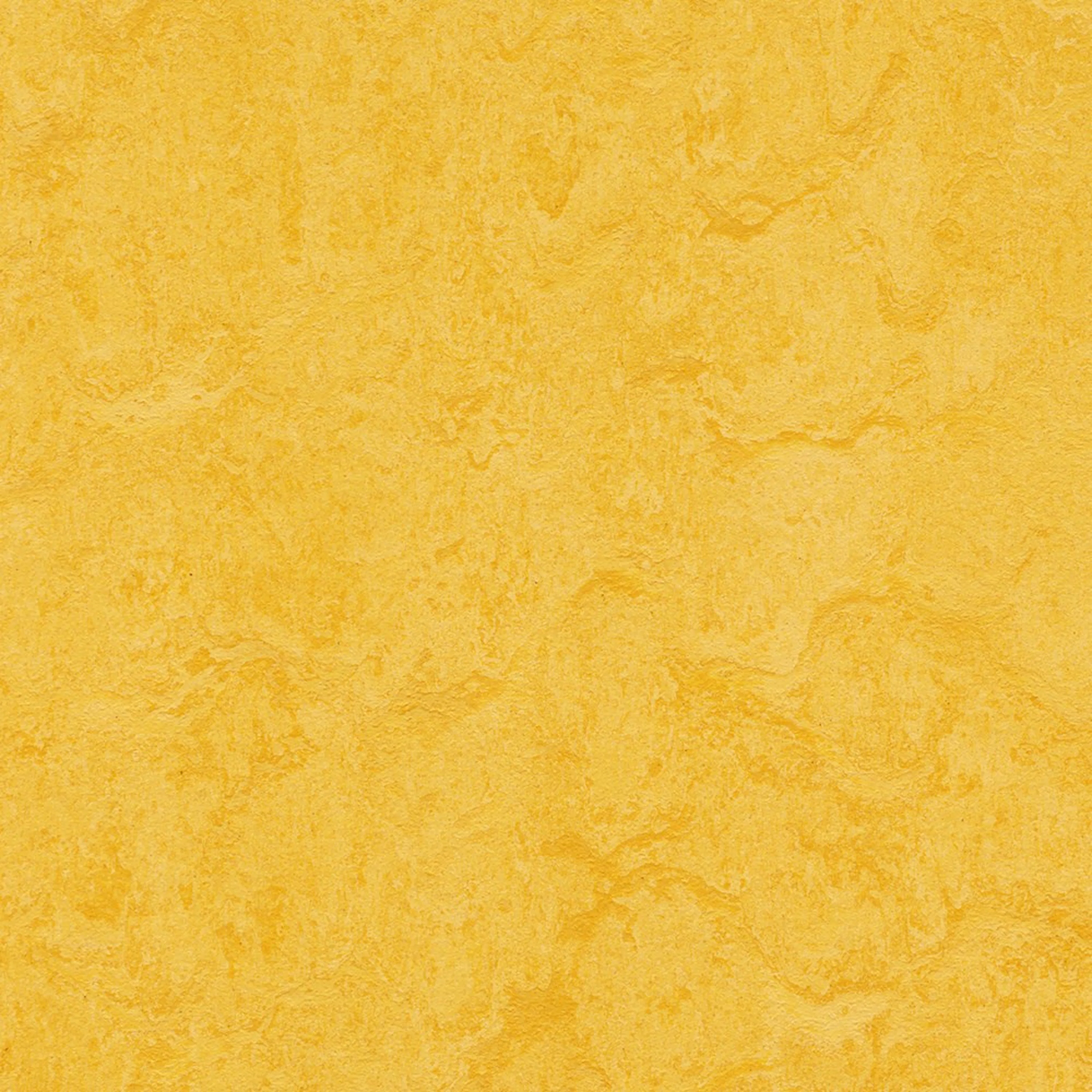 Linoleumgolv Forbo Marmoleum Click Lemon Zest 30x30 cm, Grön med Klickläggning
