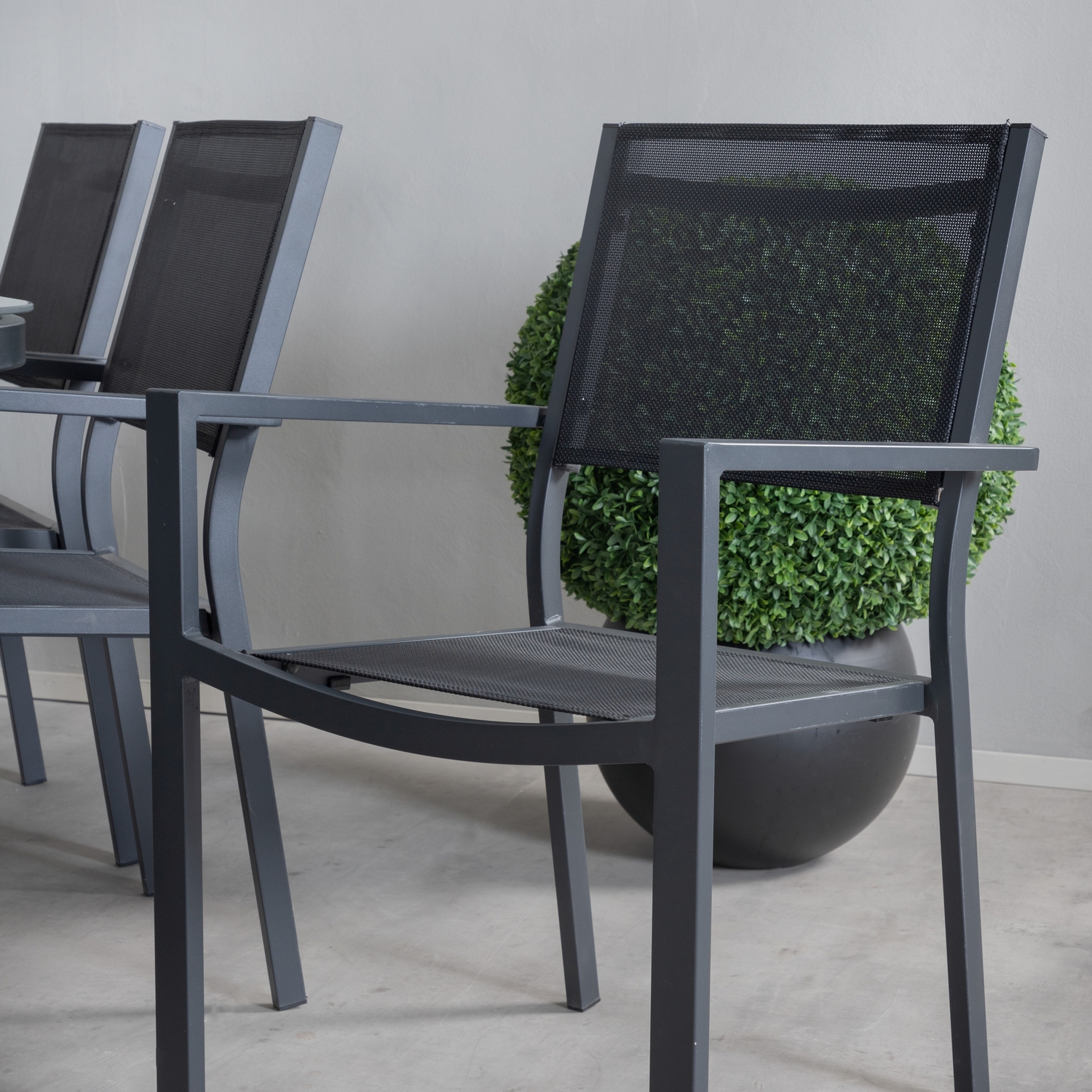 Spisegruppe Venture Home Olle med 6 Curz Stablebare Spisestoler
