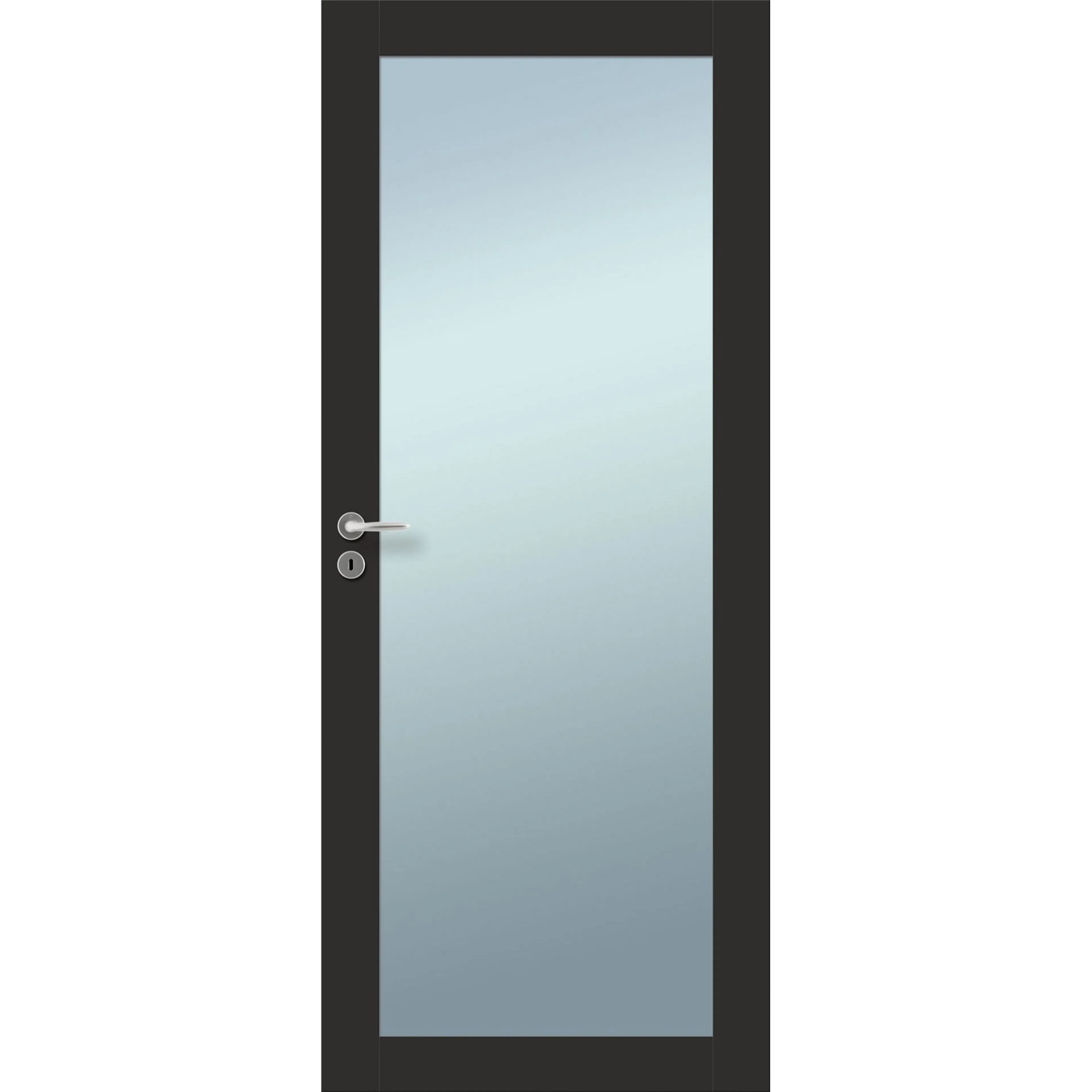 DØR ID LÅGEN SORT 1-GLASS 8X21 80x210, Sort, NCS S 8500N
