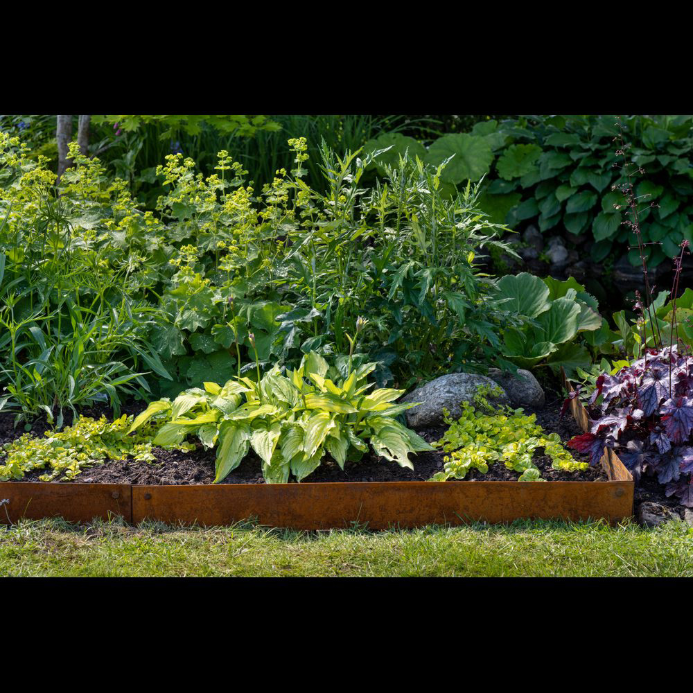 Kantbeskyttelse Skotte Garden 18x100 cm 4-pk