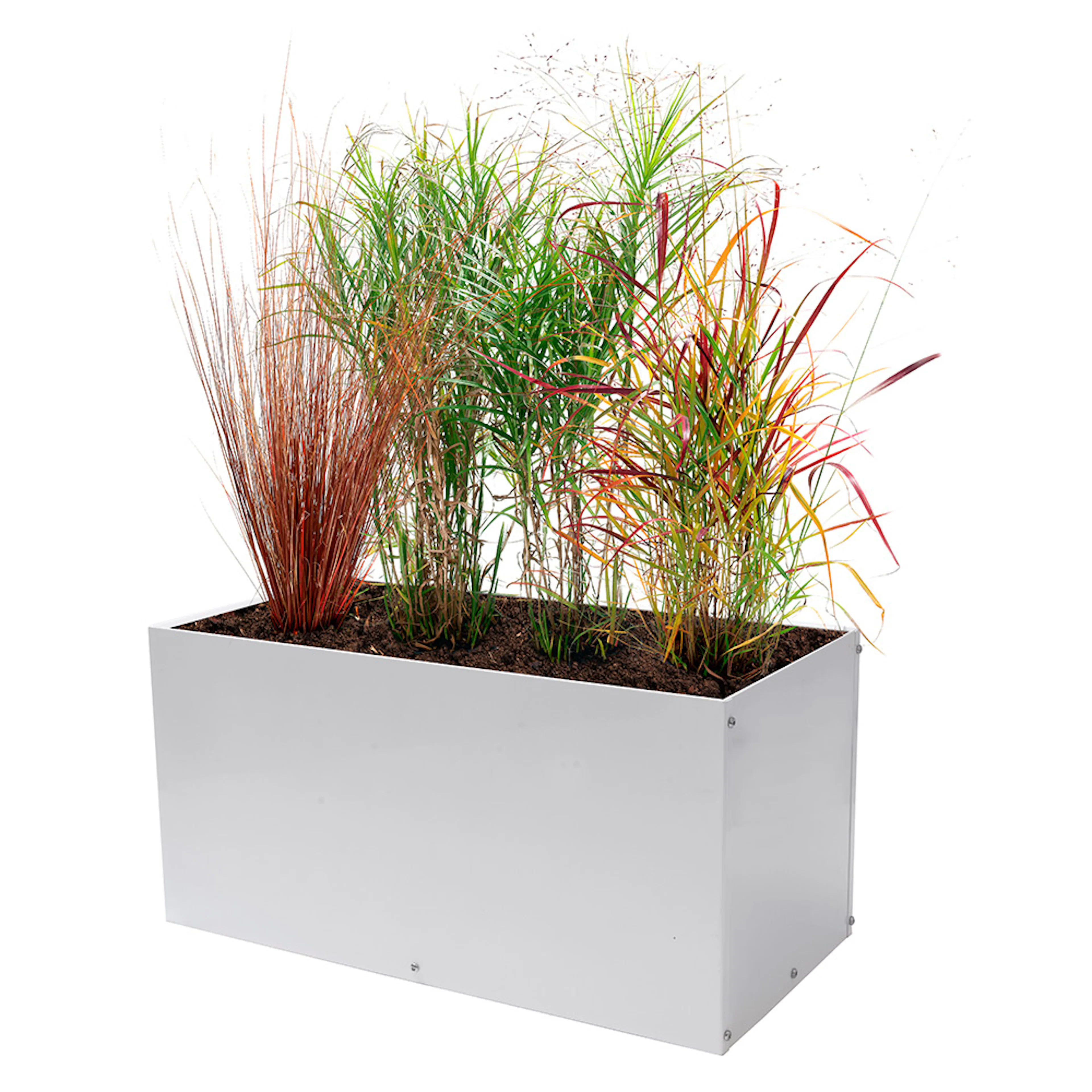 Plantekasse Skotte Garden
