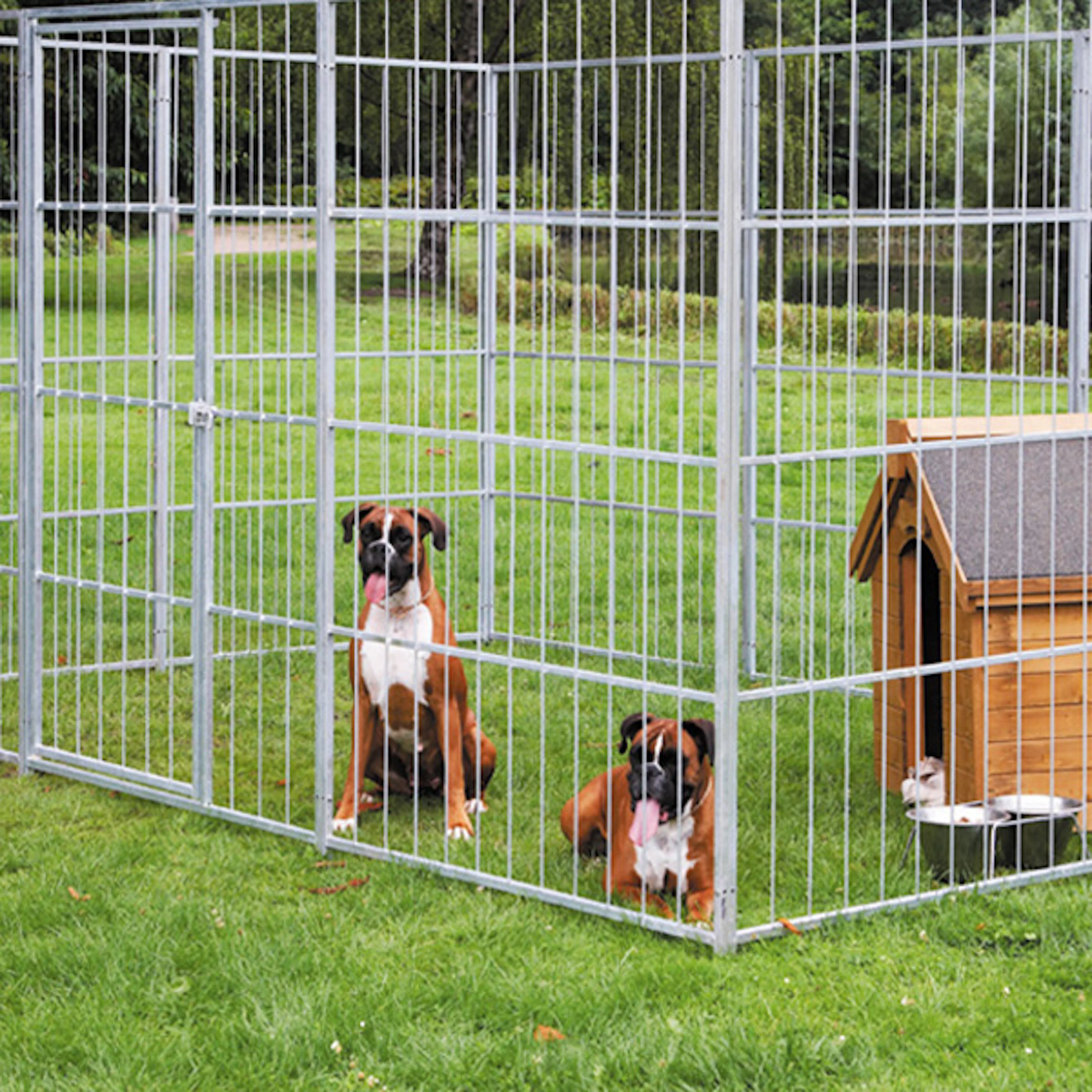 For hund