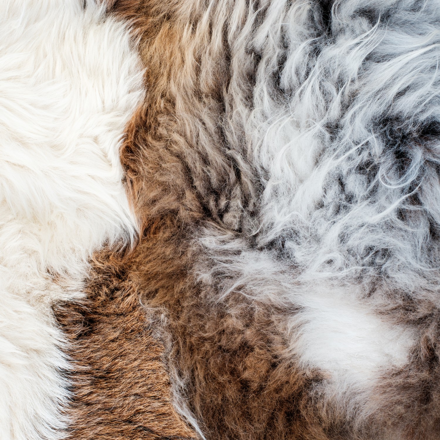 Lammeskinn Espegard Lang