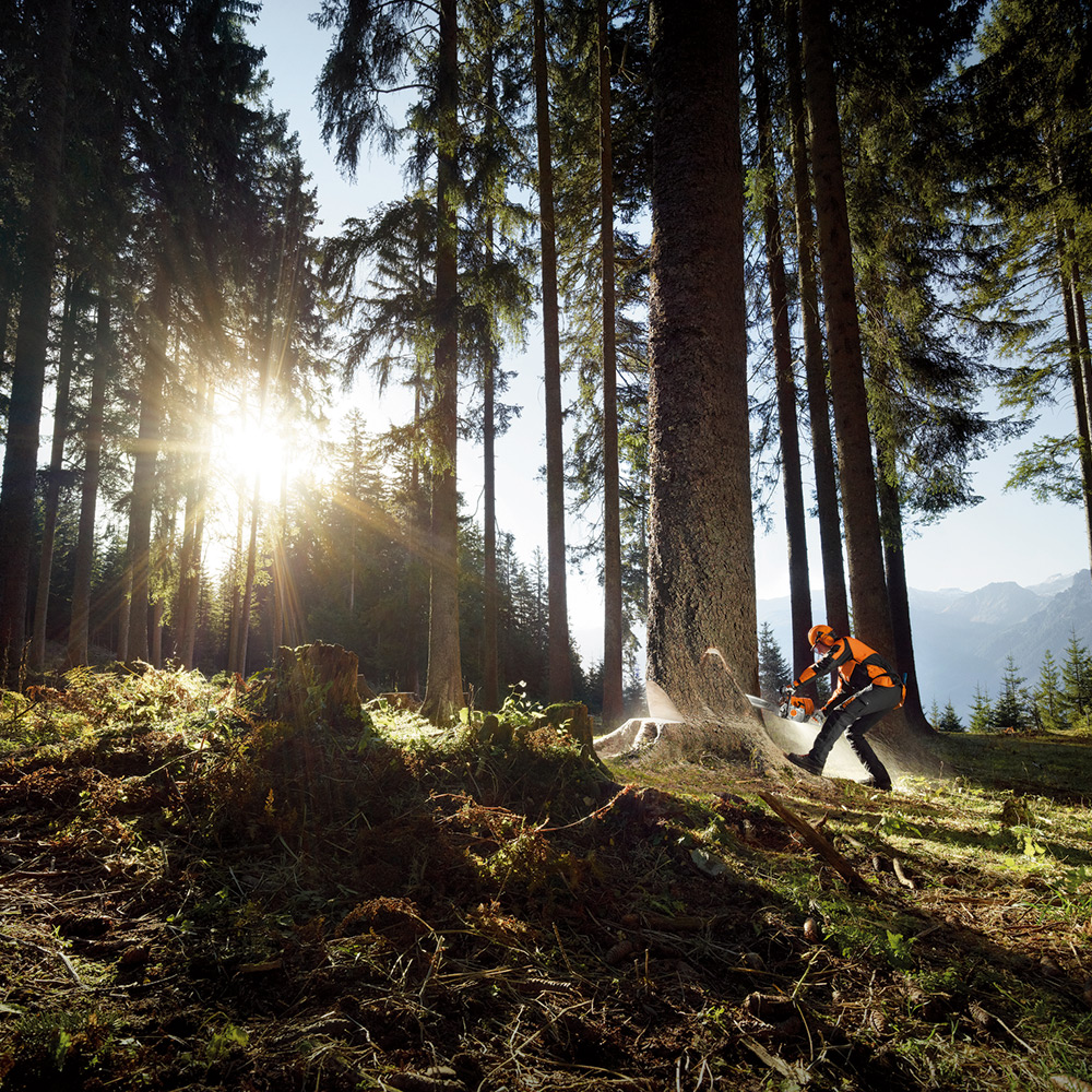 Motorsag STIHL MS 661 C-M