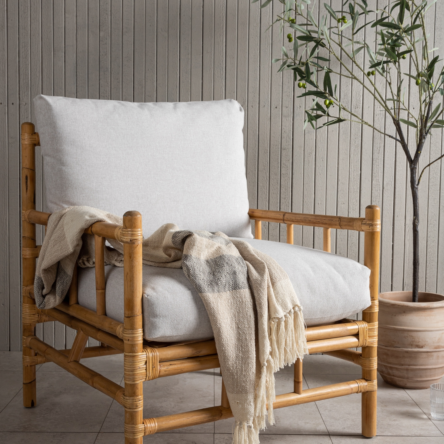 Lenestol Venture Home Cane