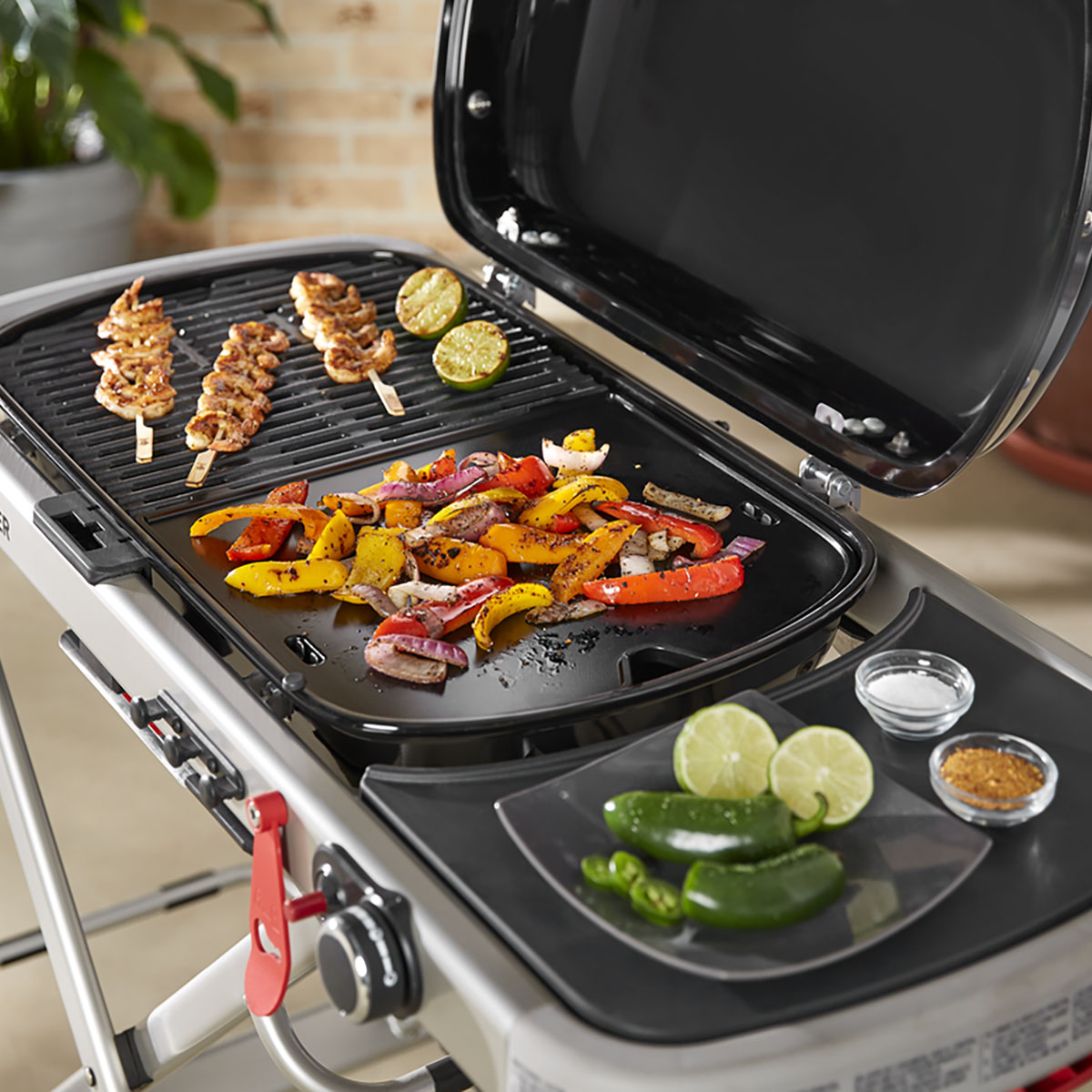 Stekebrett Weber Traveler Grill