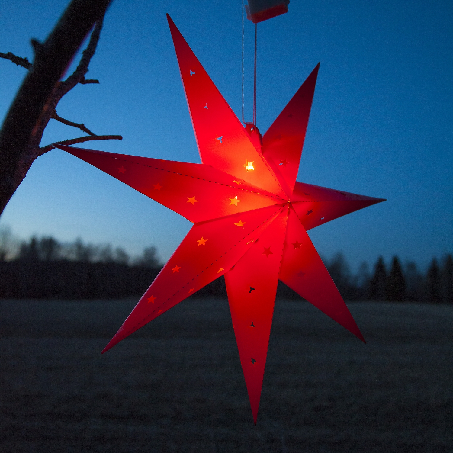 Adventsstjerne Star Trading Alice