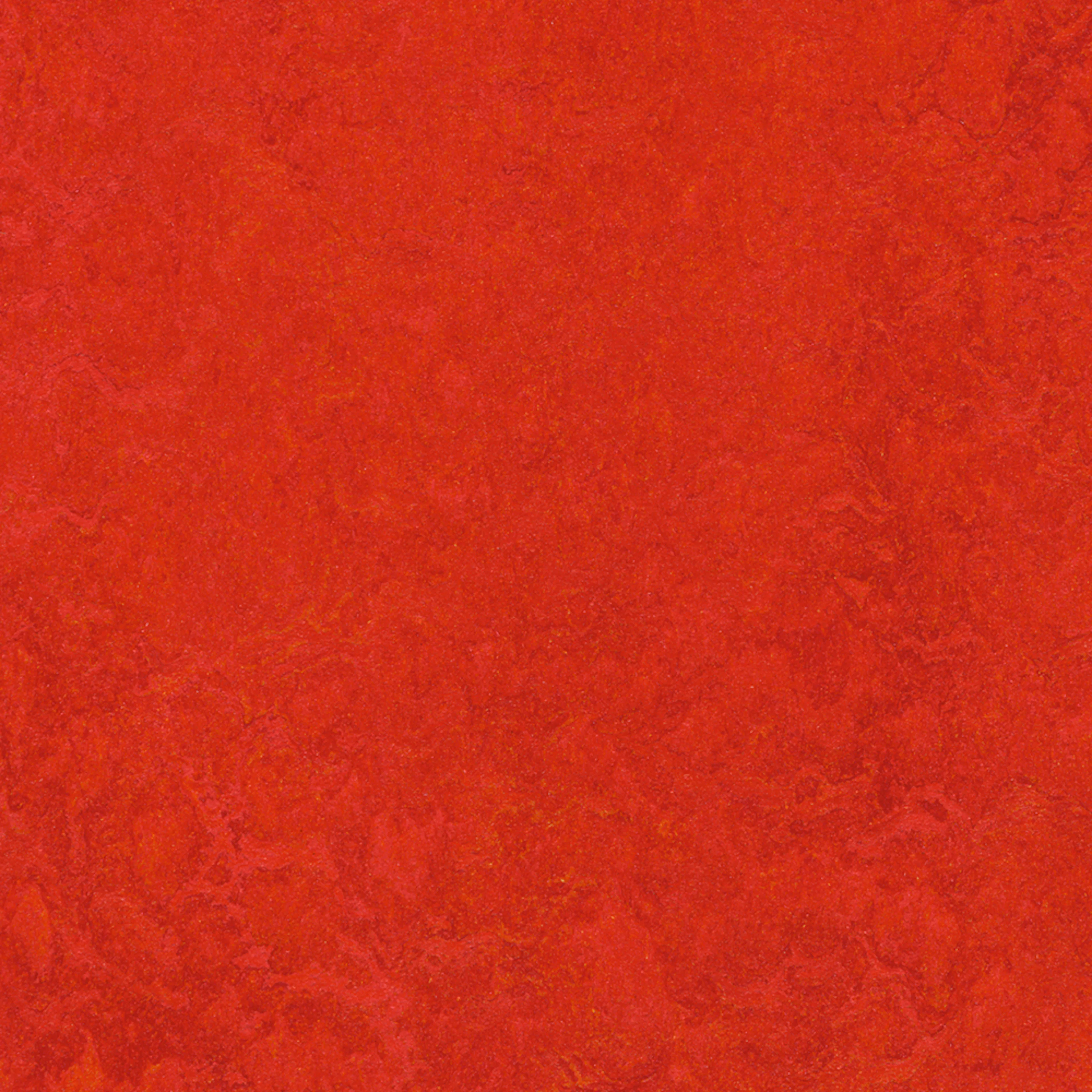 Linoleumsgulv Forbo Marmoleum Click Scarlet 30x30 cm
