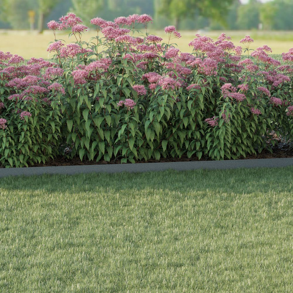 Kantbeskyttelse Skotte Garden 26x200 cm 4-pk