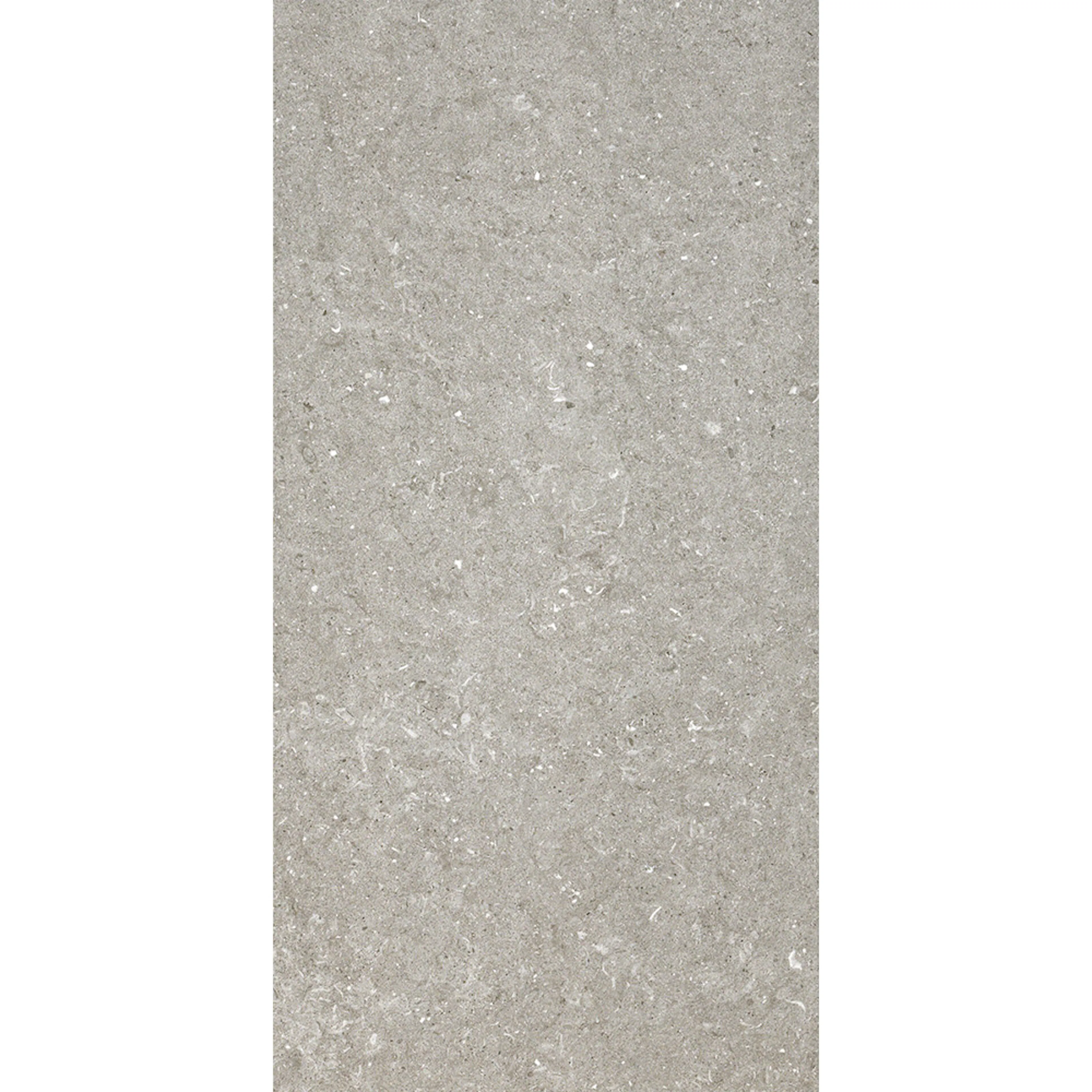 Fliser Lhådös District grå 30x60 cm