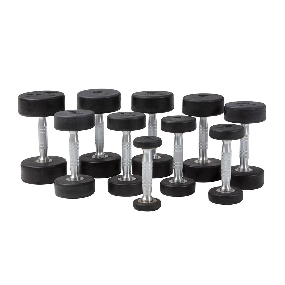 Manual Master Fitness Premium