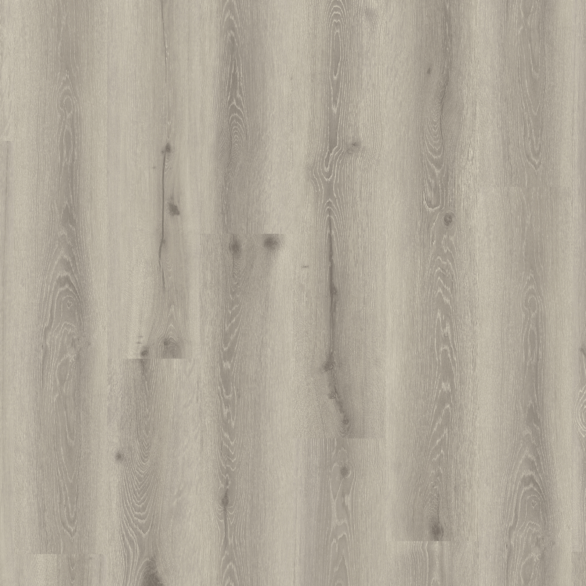 Vinylgulv Tarkett Elegance Rigid 55 Limousin Oak Grege