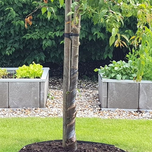 Plantekasse Skotte Garden for Betongplater Nr.10