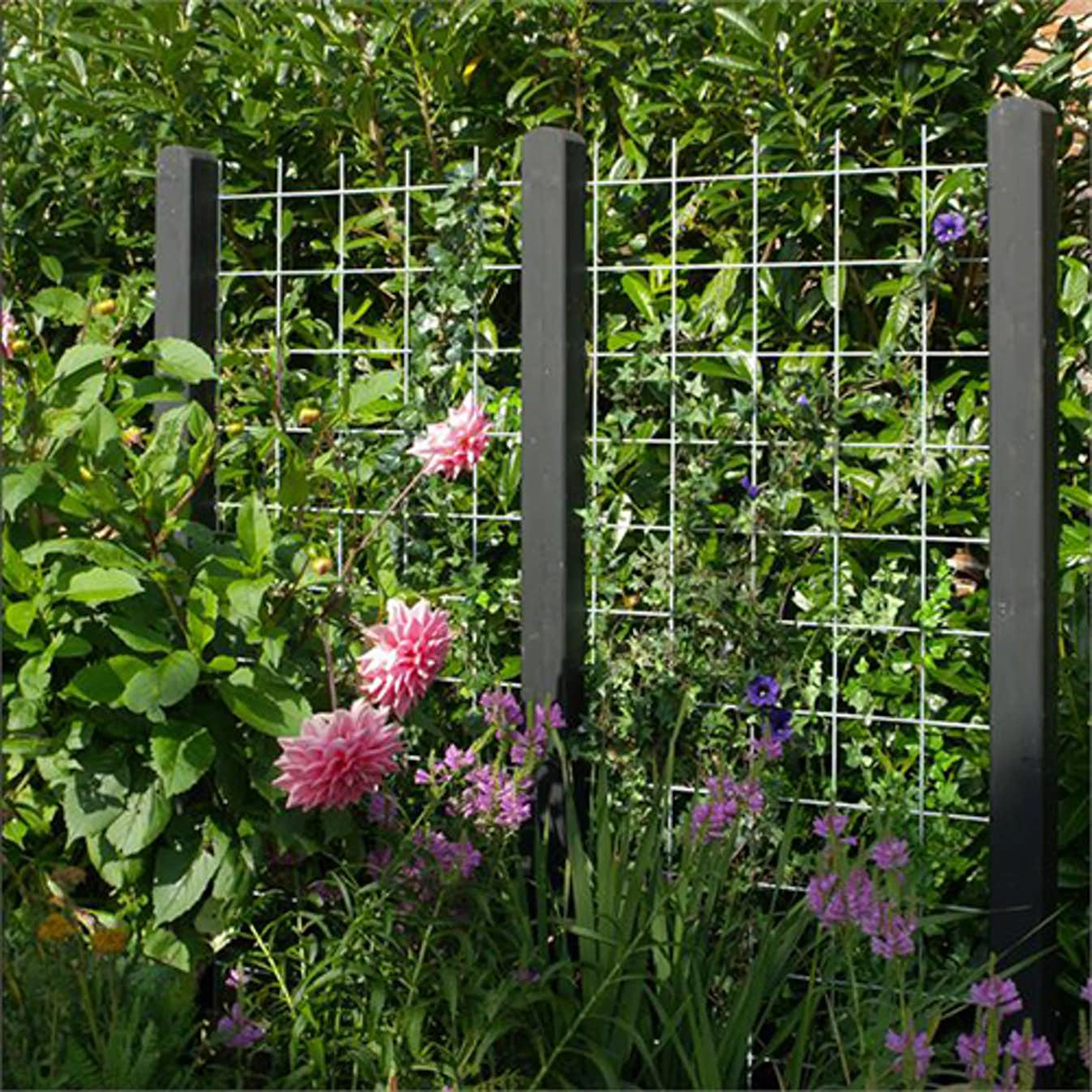 Bygge espalier: Hvordan lage ditt eget espalier